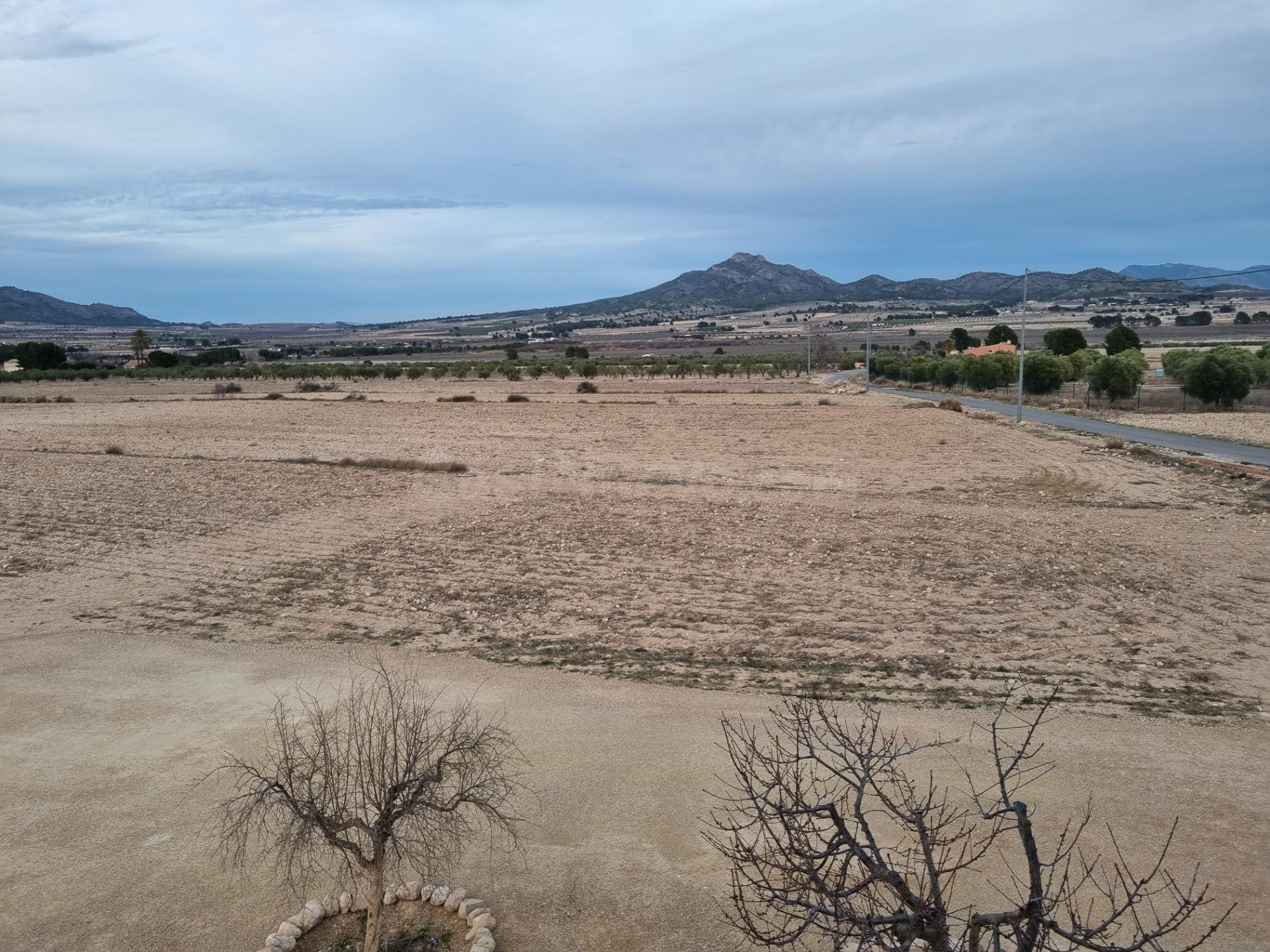 SE VENDEN PARCELAS PARA CONSTRUIR EN SALINAS (ALICANTE) SPAI