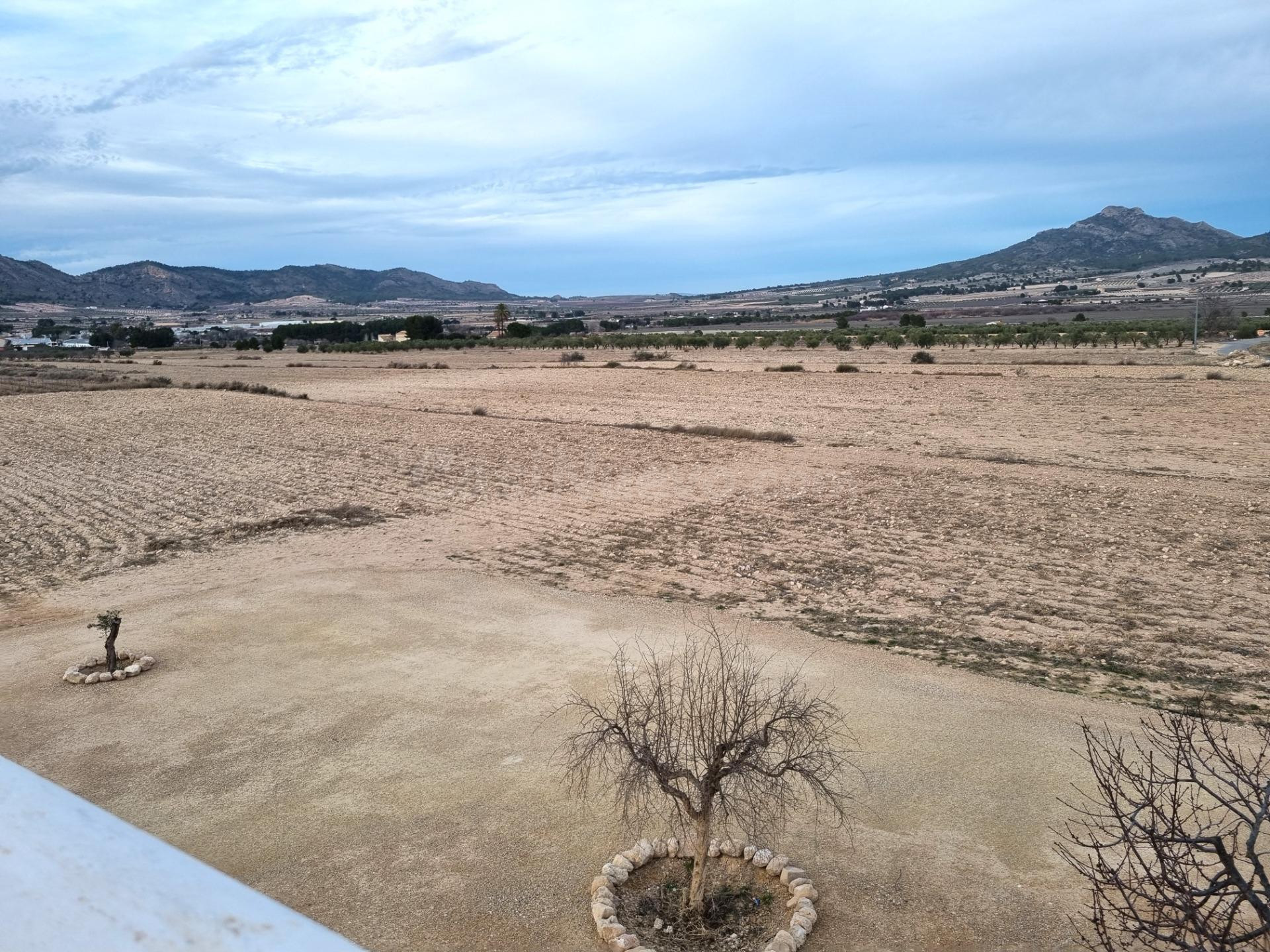 SE VENDEN PARCELAS PARA CONSTRUIR EN SALINAS (ALICANTE) SPAI - foto 2
