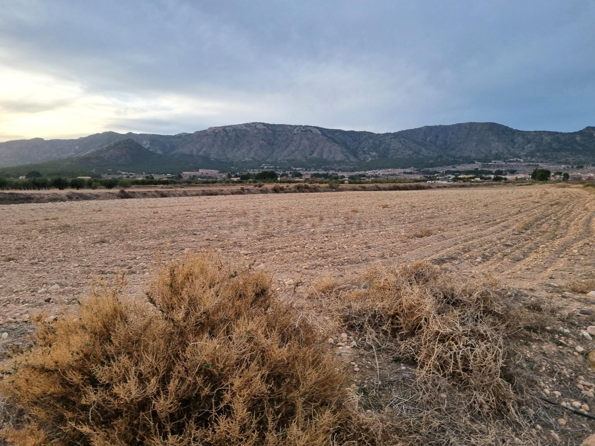 SE VENDEN PARCELAS PARA CONSTRUIR EN SALINAS (ALICANTE) SPAI - foto 3