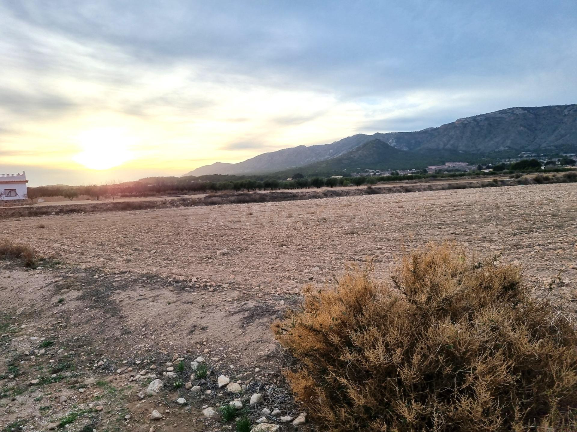 SE VENDEN PARCELAS PARA CONSTRUIR EN SALINAS (ALICANTE) SPAI - foto 4