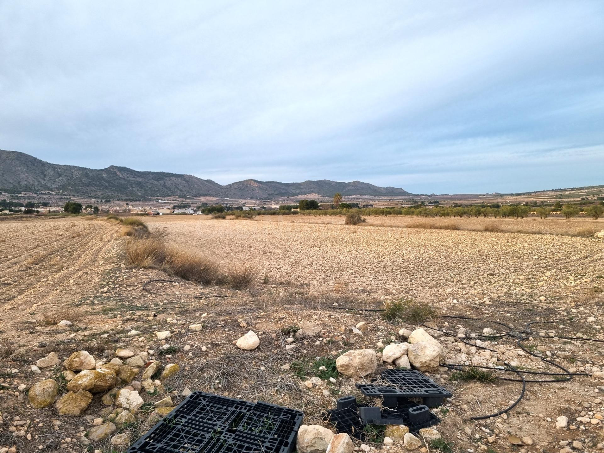 SE VENDEN PARCELAS PARA CONSTRUIR EN SALINAS (ALICANTE) SPAI - foto 5