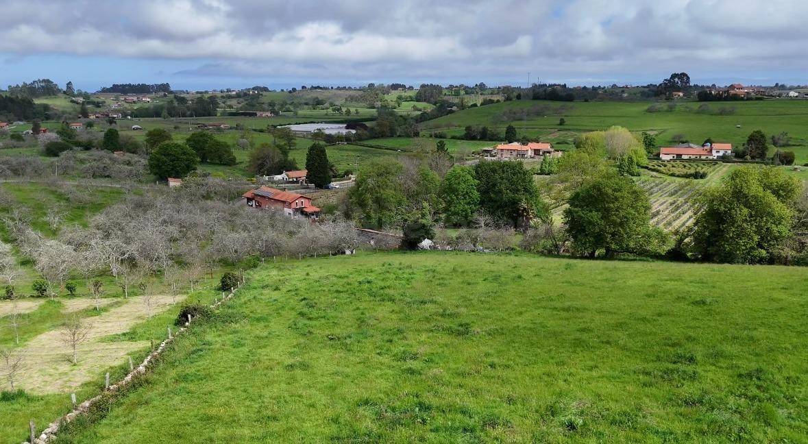 Finca urbanizable en San Justo – 19.000 m2 soleados por 90.0 - foto 3