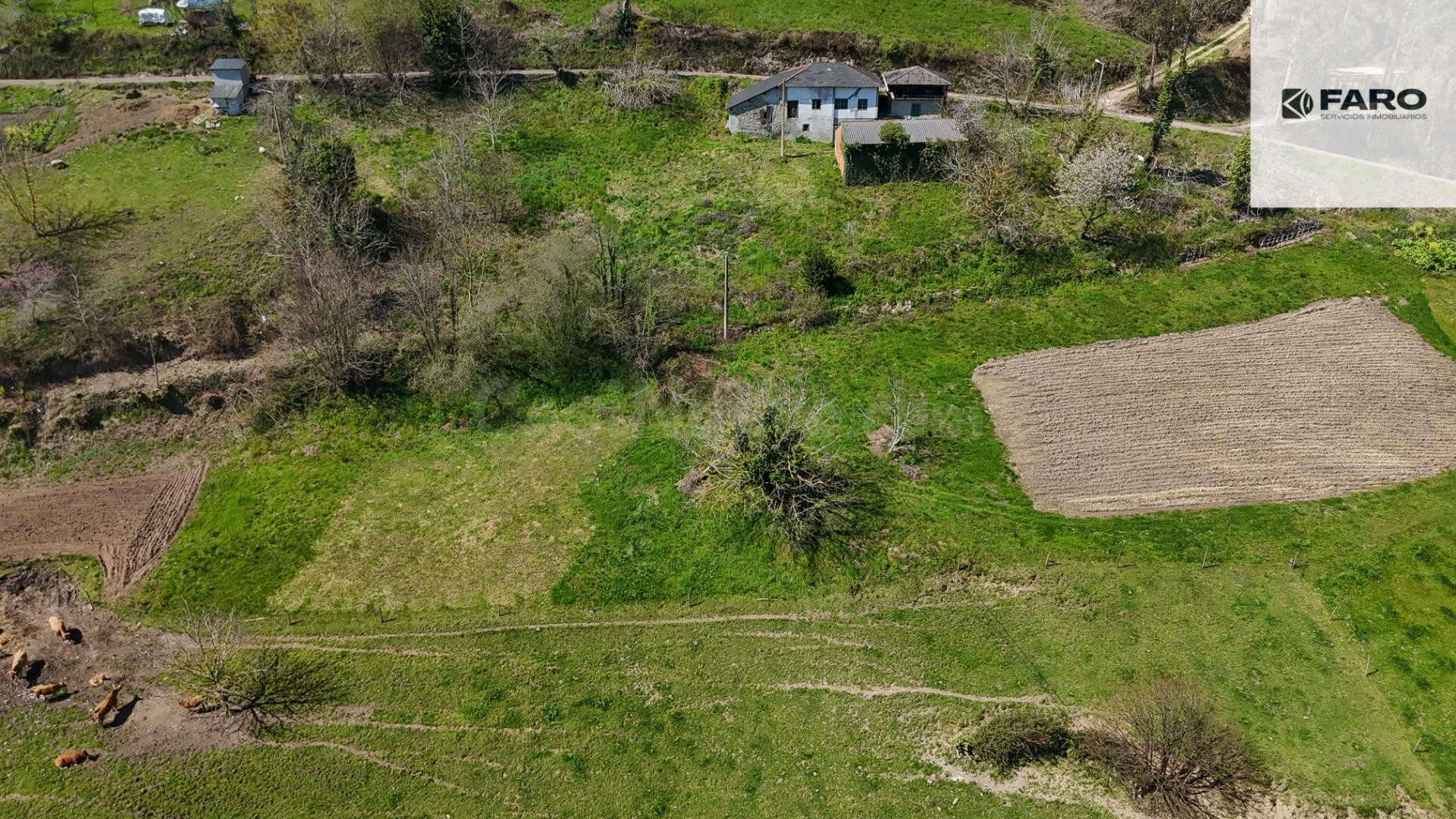 Casa con finca de 7.525 m2 en Valle de Paredes (Valdés) – Gr - foto 3