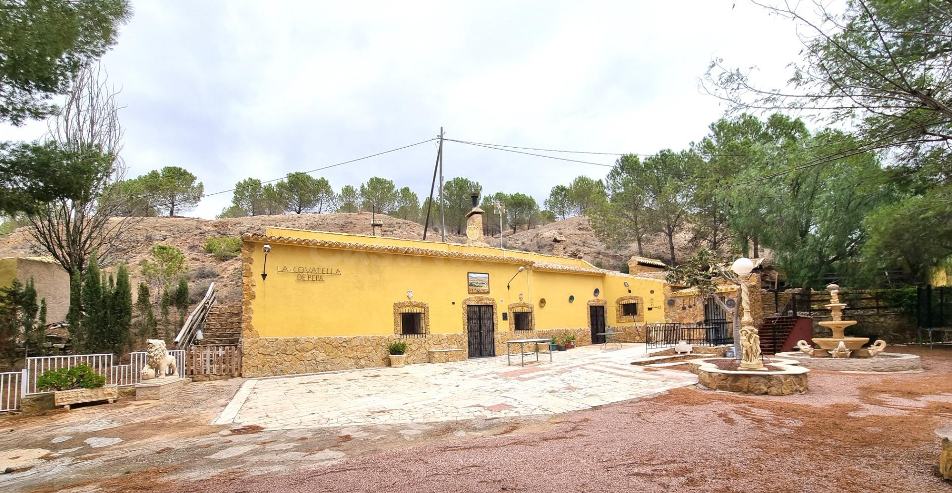 SE VENDE ESPECTACULAR CASA - CUEVA TOTALMENTE EQUIDAPA EN PINOSO (ALICANTE)