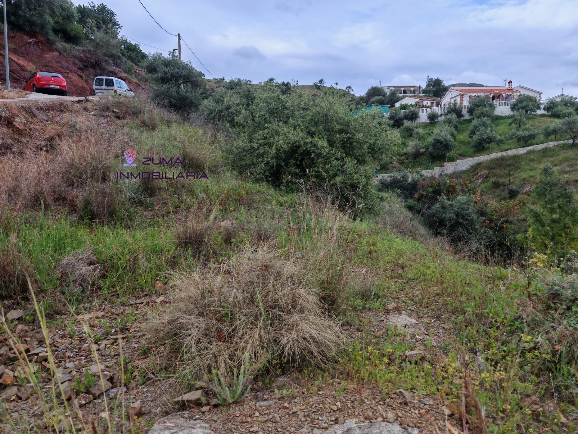 Terrenos Urbanos en Los Nuñez - Almogía - foto 5