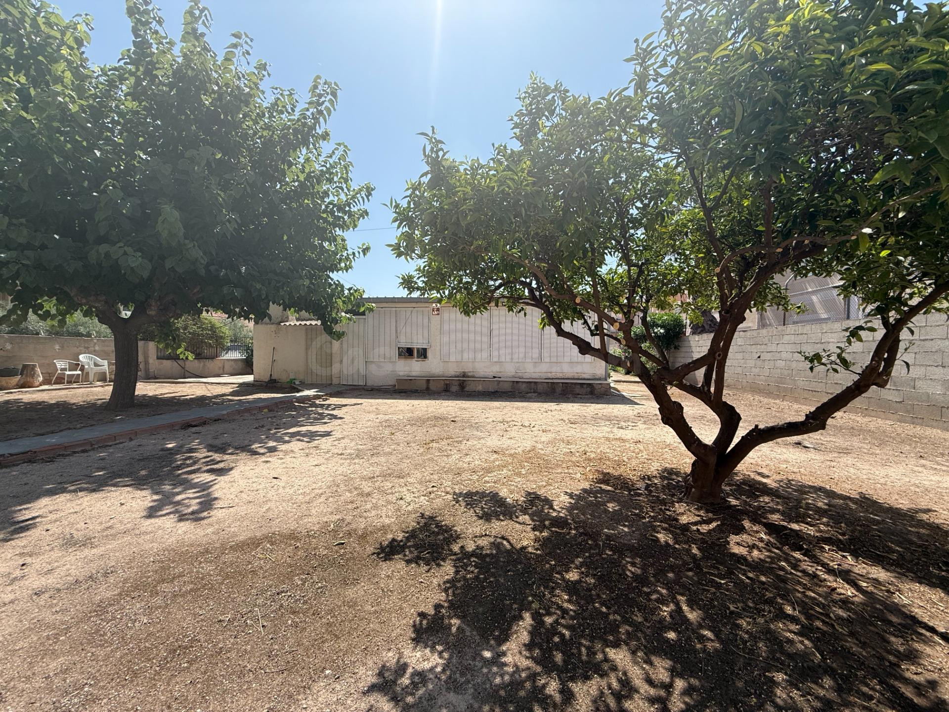 SE VENDE CASA PLANTA BAJA EN MONOVAR (ALICANTE) - foto 4