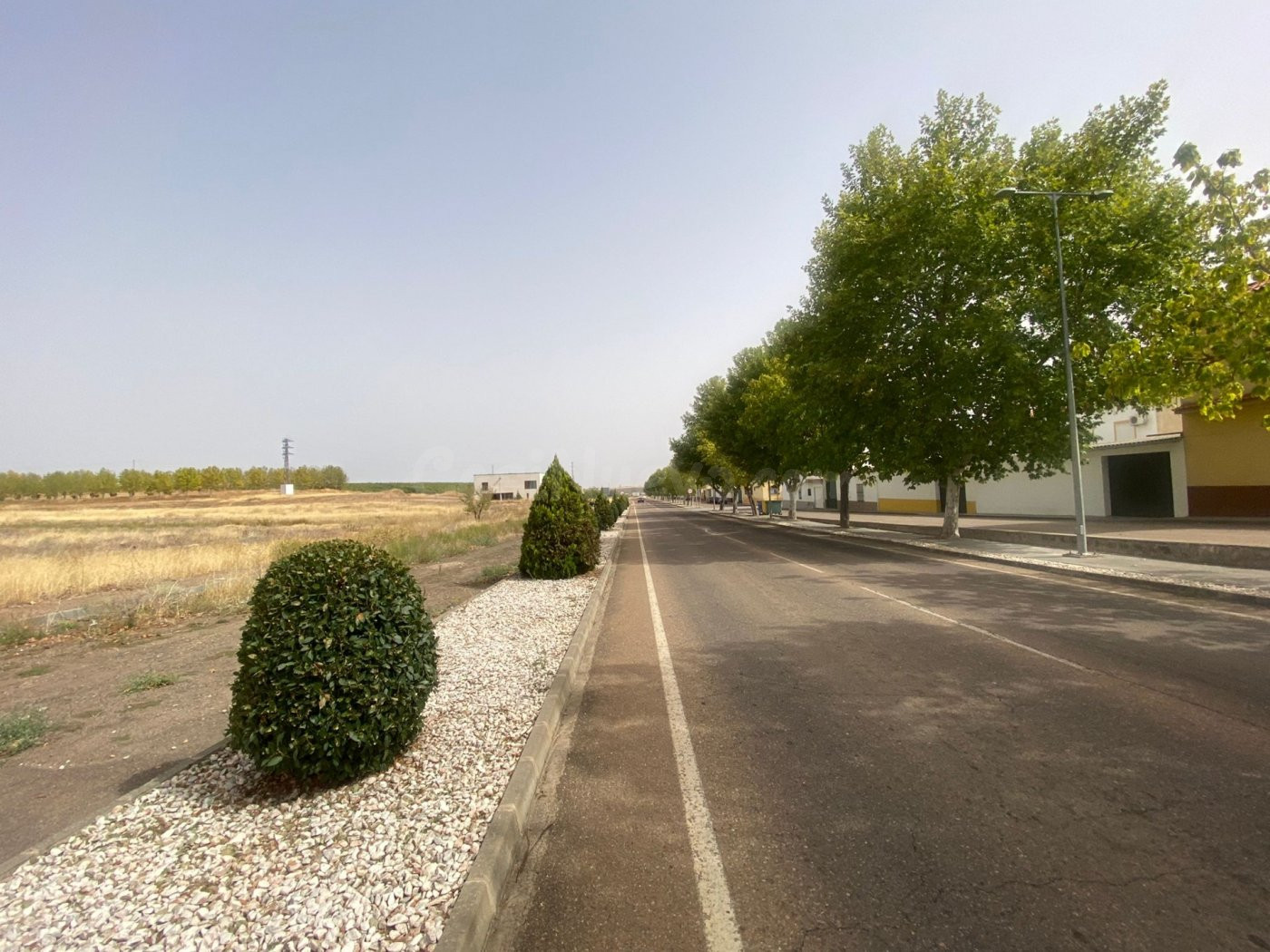SE VENDE PARCELA EN LA ALBUERA - foto 3