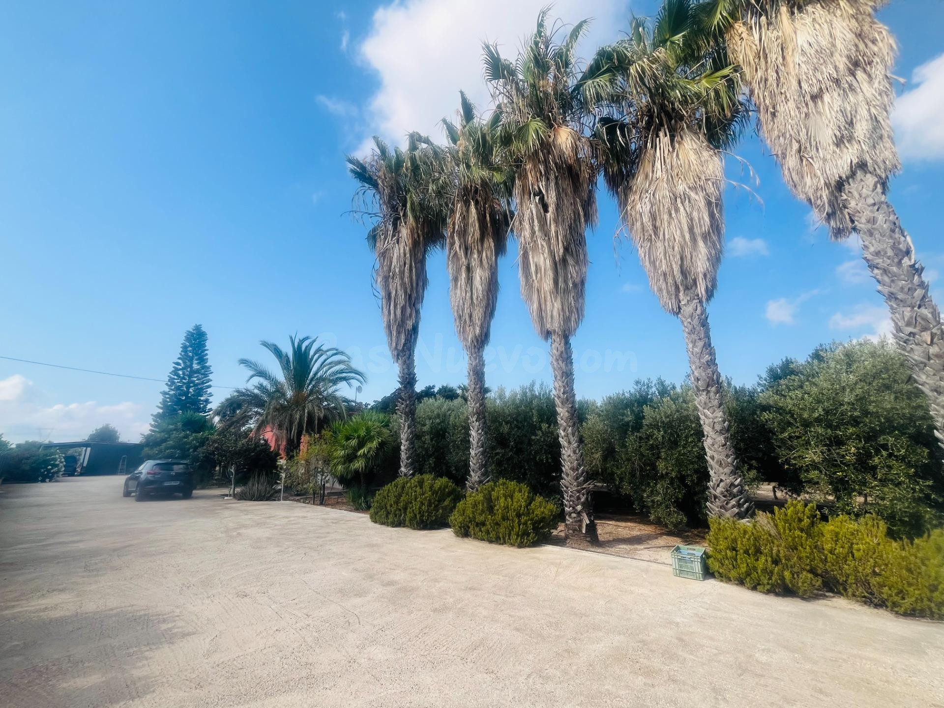 SE VENDE CHALET CON PISCINA EN LA HOYA (ELCHE) - foto 2