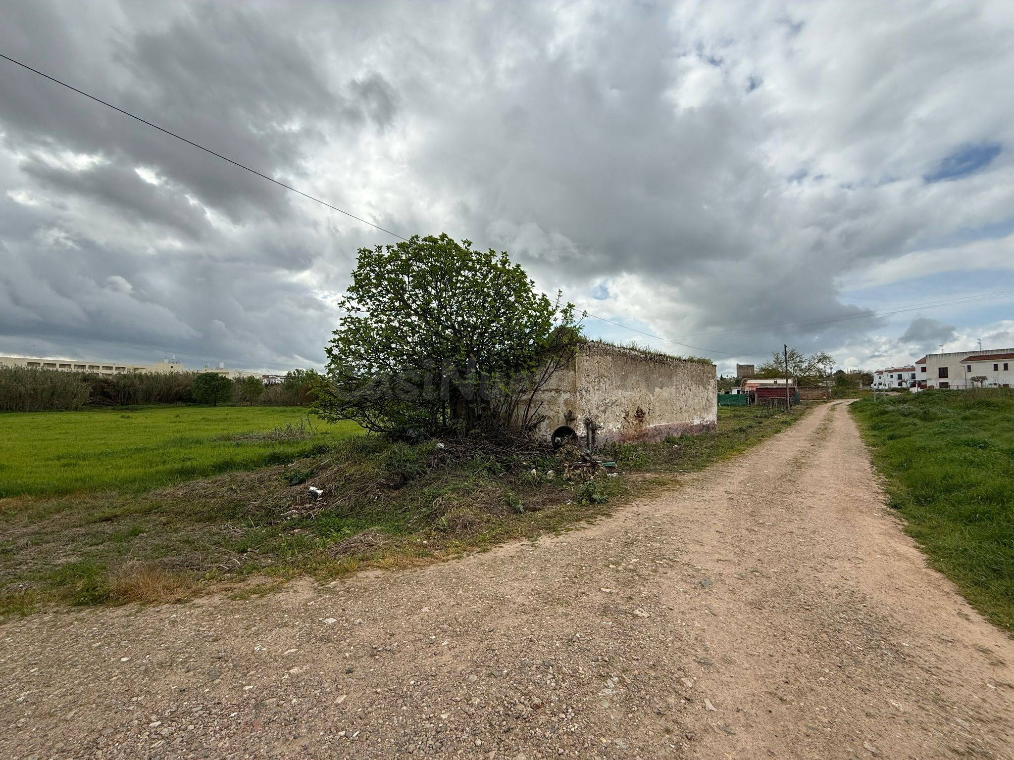 PARCELA A 20 METROS DEL CASCO URBANO DE OLIVENZA - foto 3