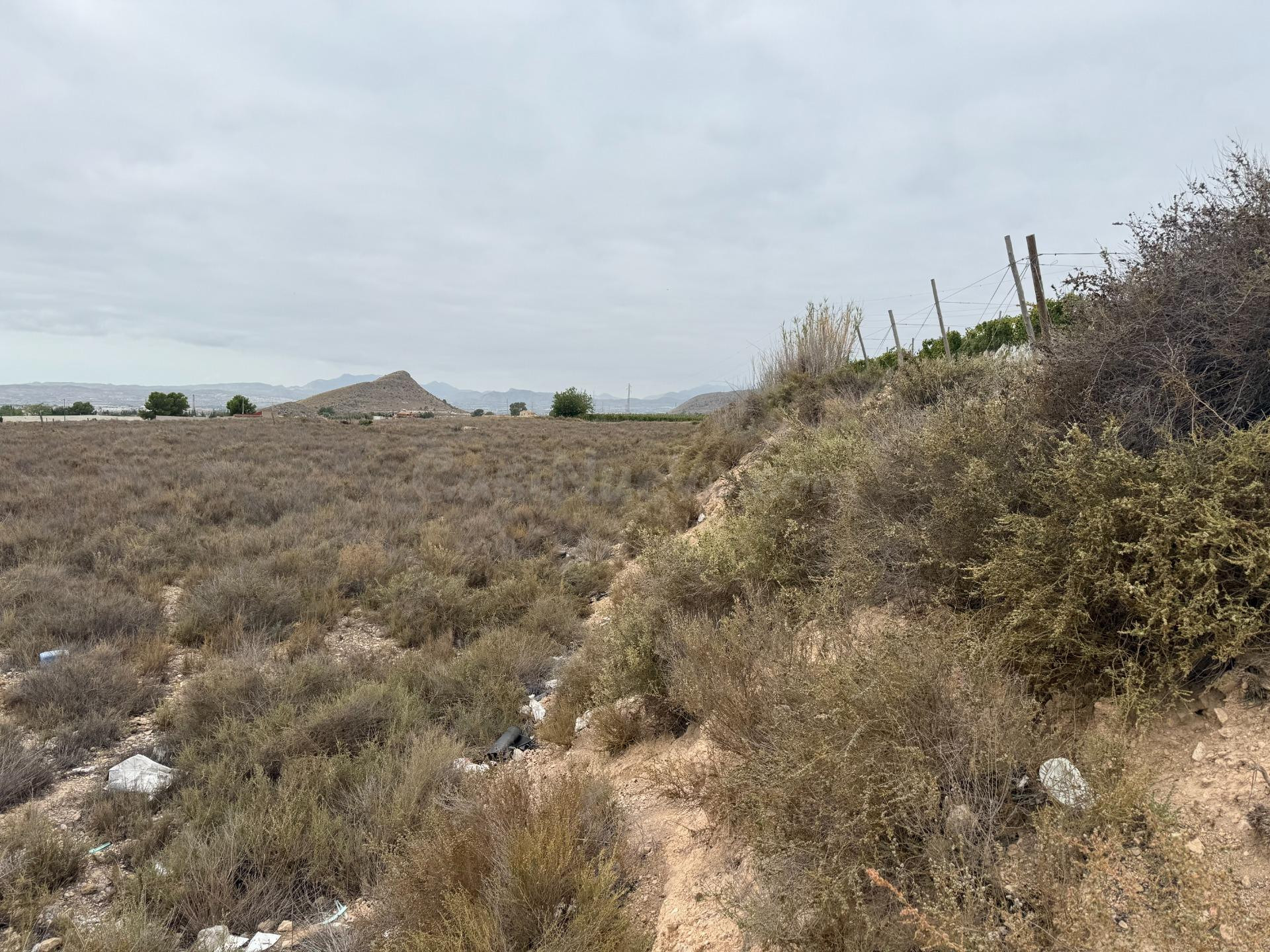 SE VENDE TERRENO RUSTICO EN MONFORTE DEL CID (ALICANTE)