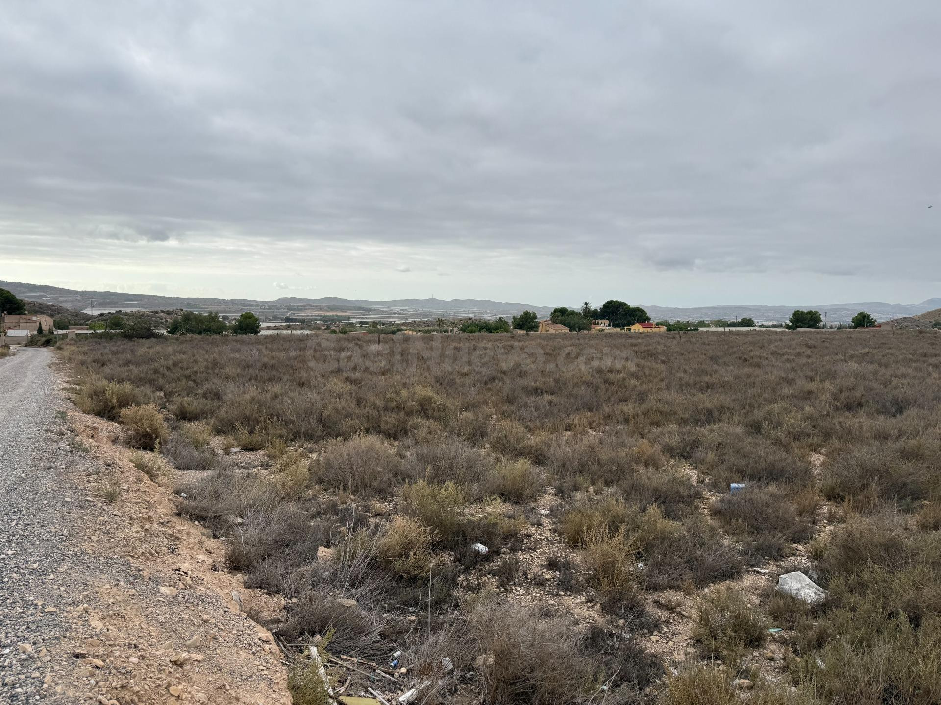 SE VENDE TERRENO RUSTICO EN MONFORTE DEL CID (ALICANTE) - foto 4