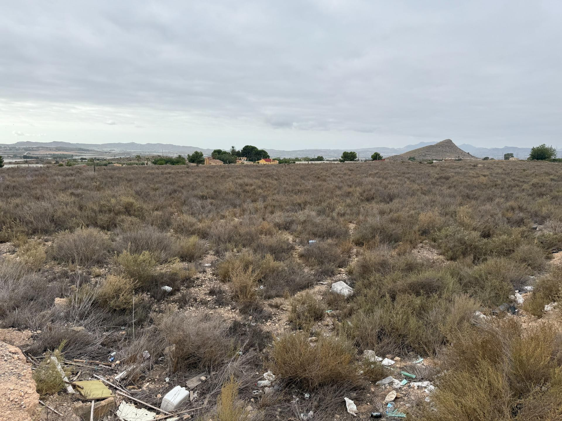 SE VENDE TERRENO RUSTICO EN MONFORTE DEL CID (ALICANTE) - foto 5
