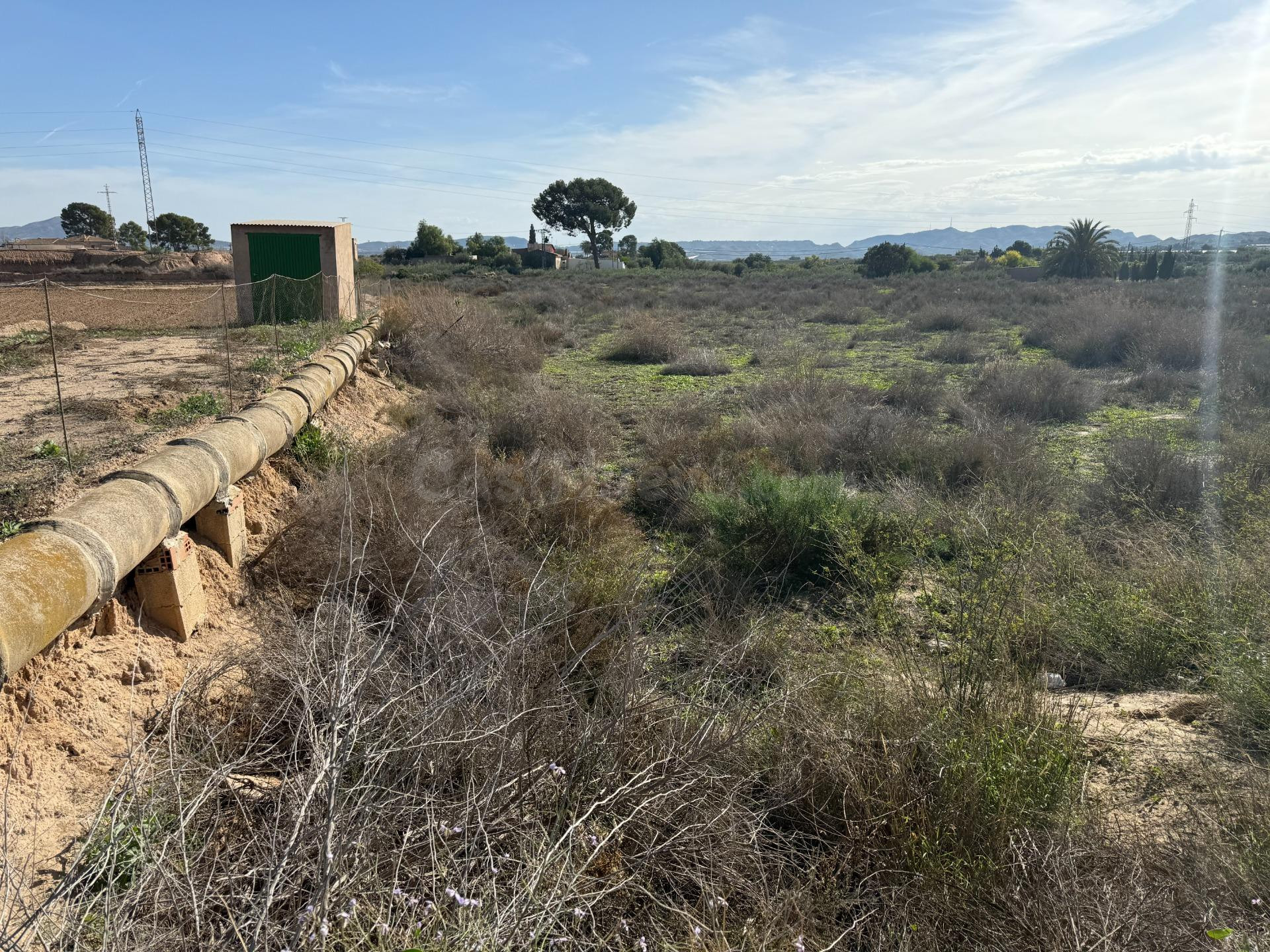 TERRENO RUSTICO EN TERMINO DE NOVELDA-ASPE (ALICANTE) - foto 2