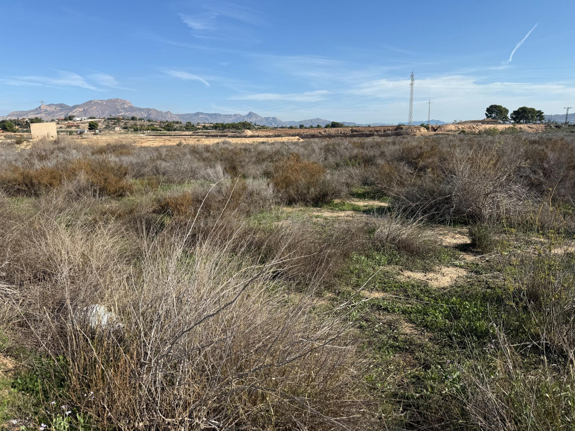 TERRENO RUSTICO EN TERMINO DE NOVELDA-ASPE (ALICANTE) - foto 4