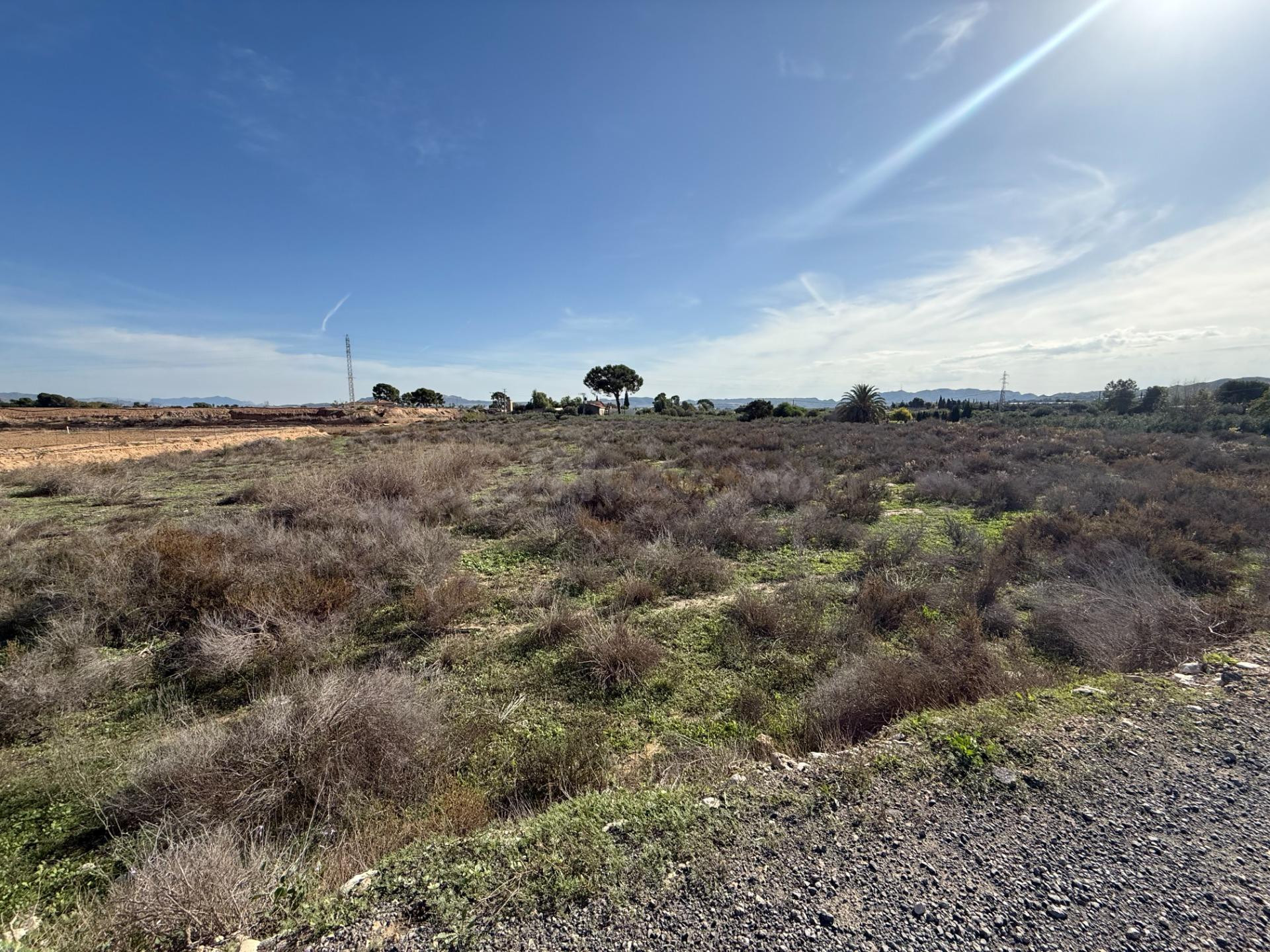 TERRENO RUSTICO EN TERMINO DE NOVELDA-ASPE (ALICANTE) - foto 5