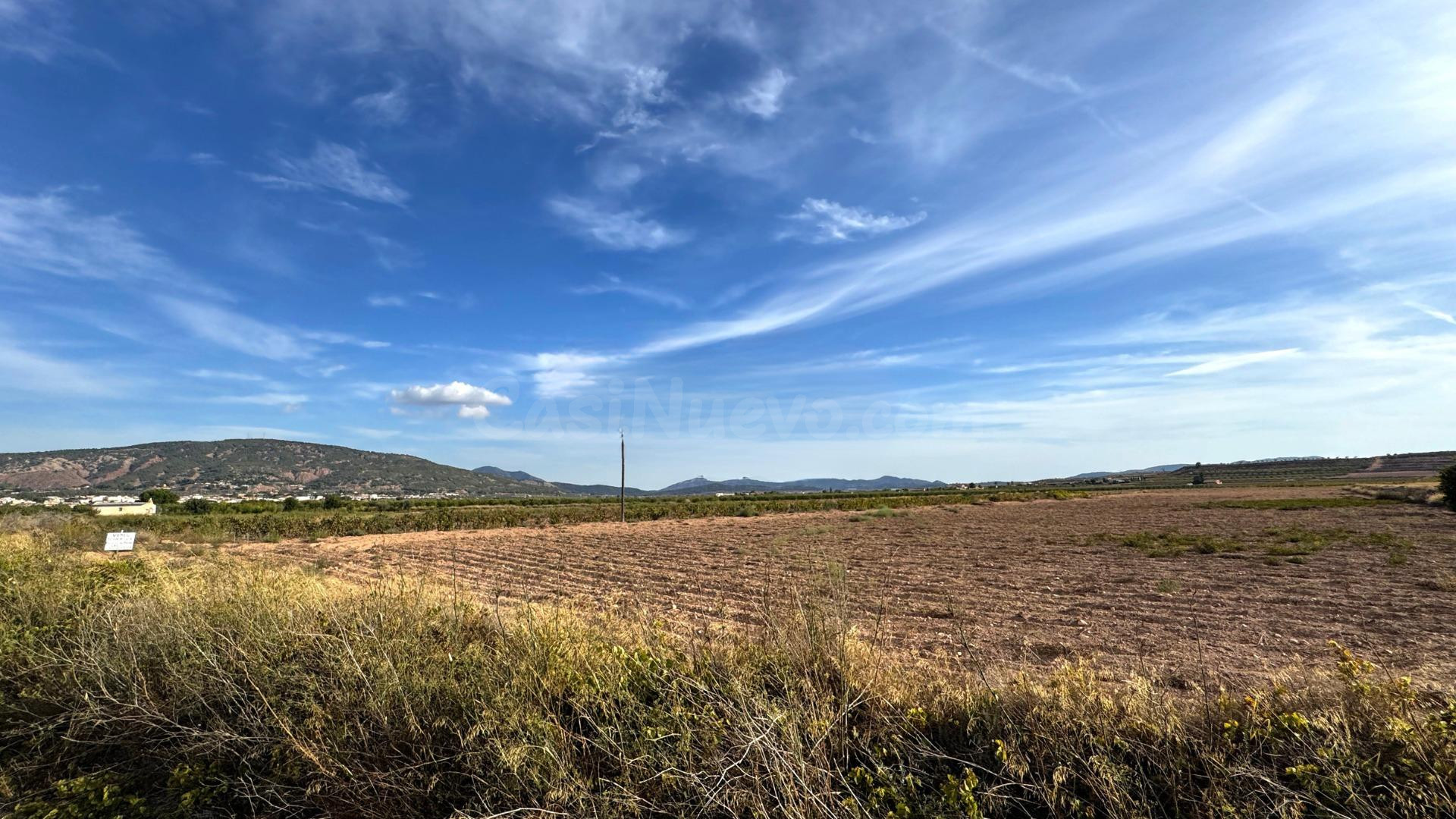 SE VENDE PARCELA EN PINOSO (ALICANTE) - foto 2