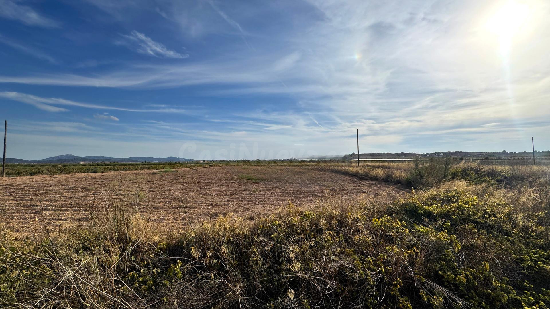 SE VENDE PARCELA EN PINOSO (ALICANTE) - foto 3