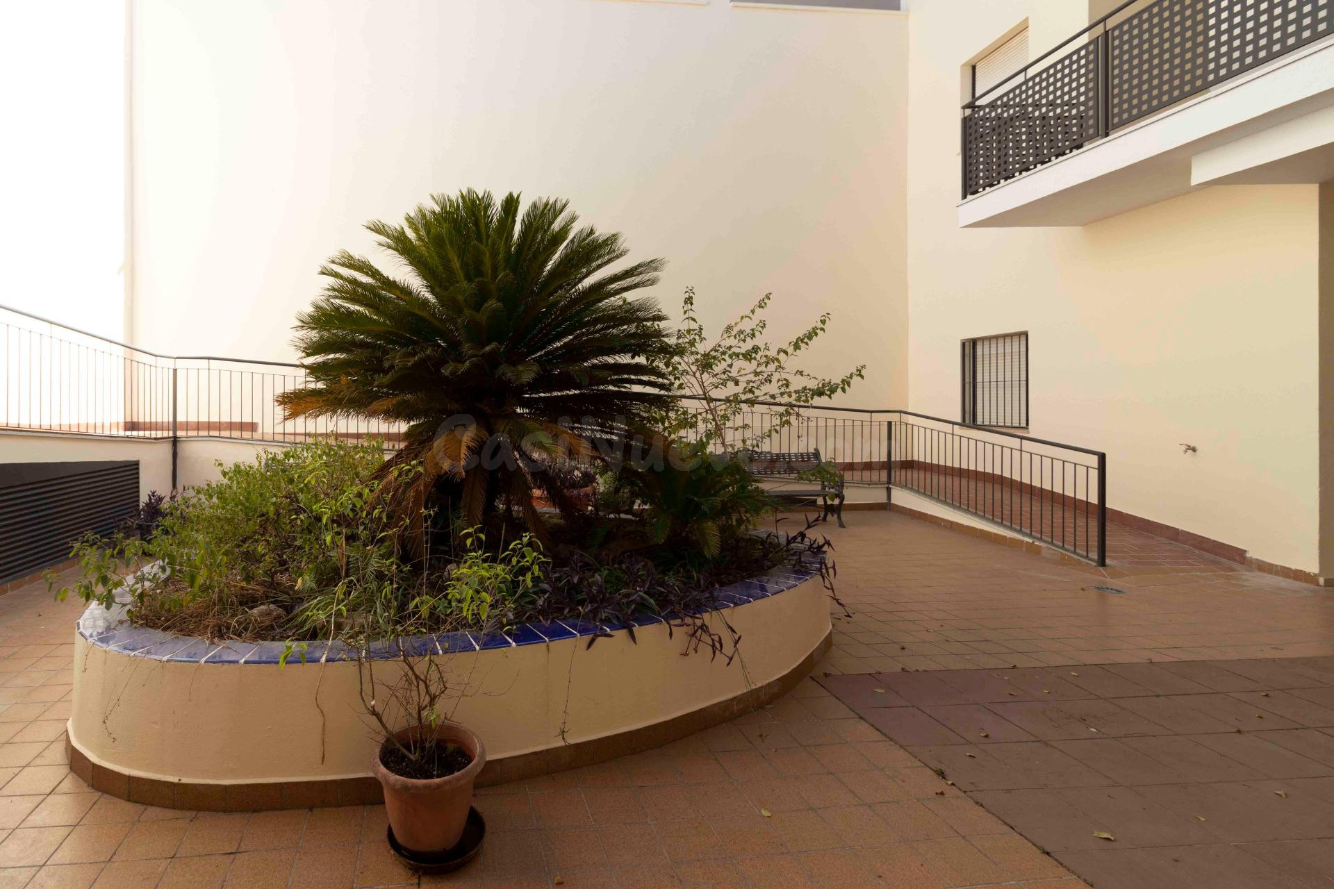 PRECIOSO APARTAMENTO  CON GARAJE EN PLENO CENTRO