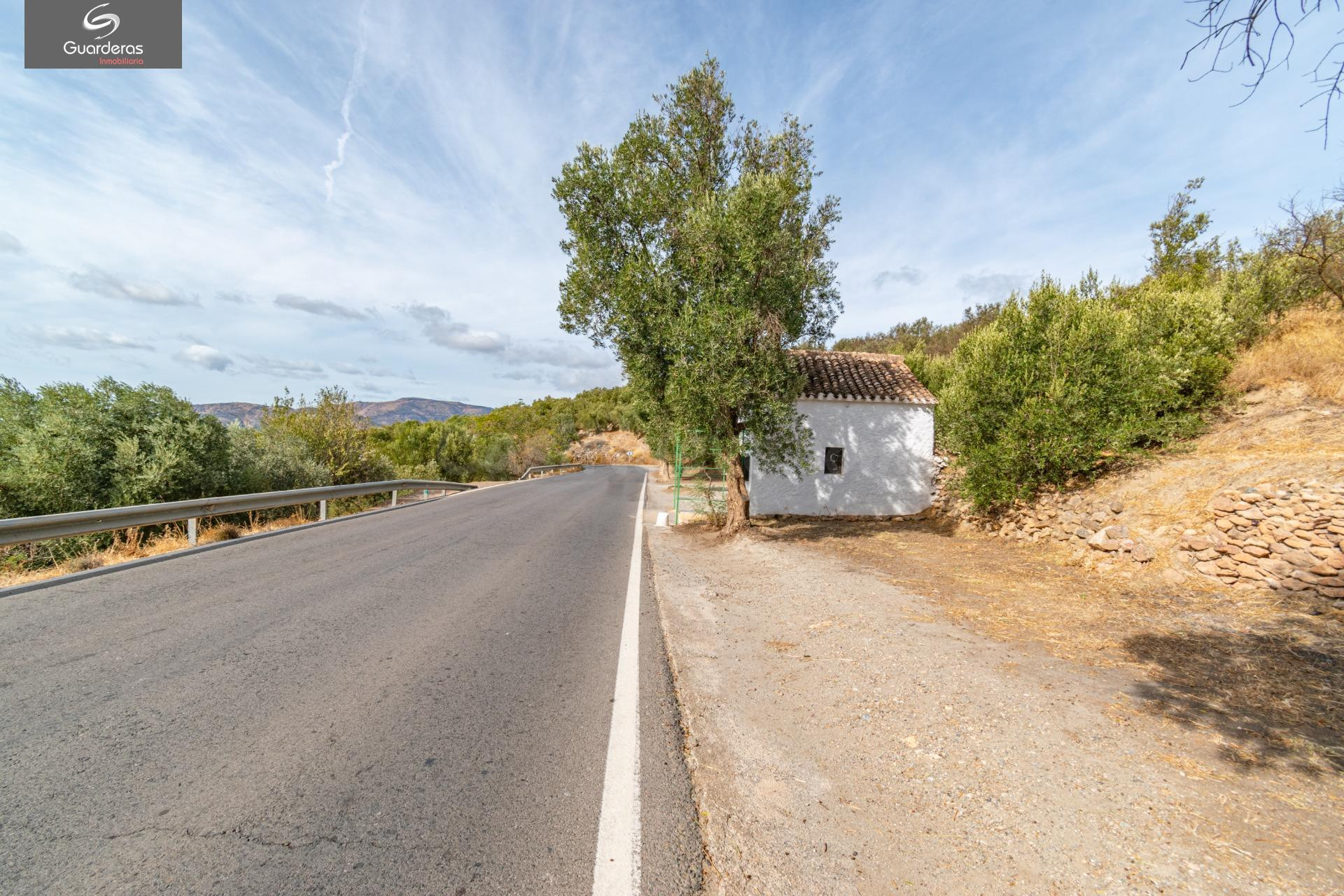 Finca rústica 361m² en venta - Órgiva Alpujarra Granada - foto 4