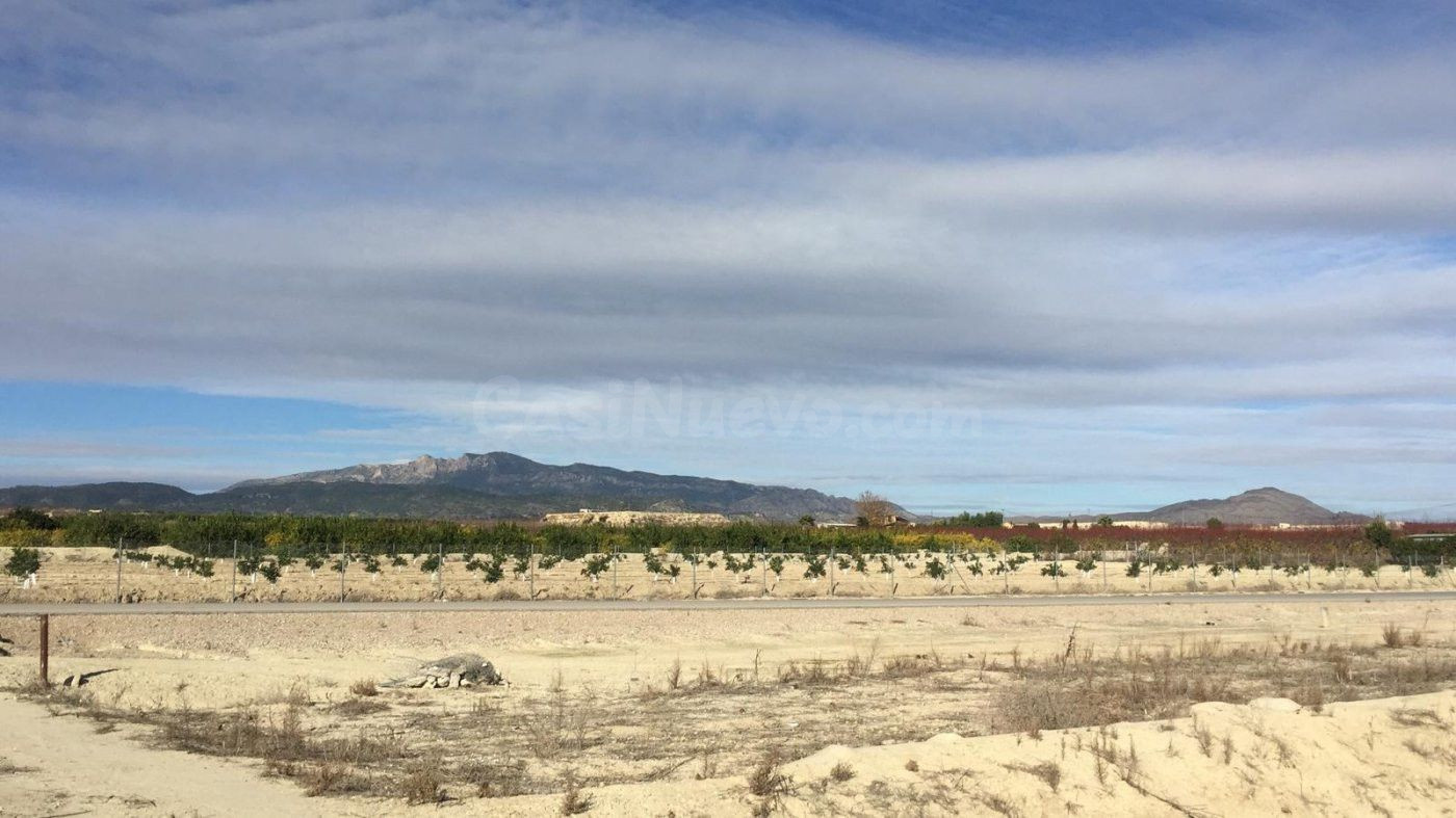 SE VENDE PARCELA EN VILLANUEVA DEL SEGURA, MURCIA - foto 2