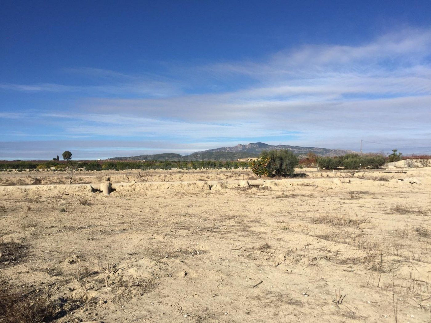 SE VENDE PARCELA EN VILLANUEVA DEL SEGURA, MURCIA - foto 3