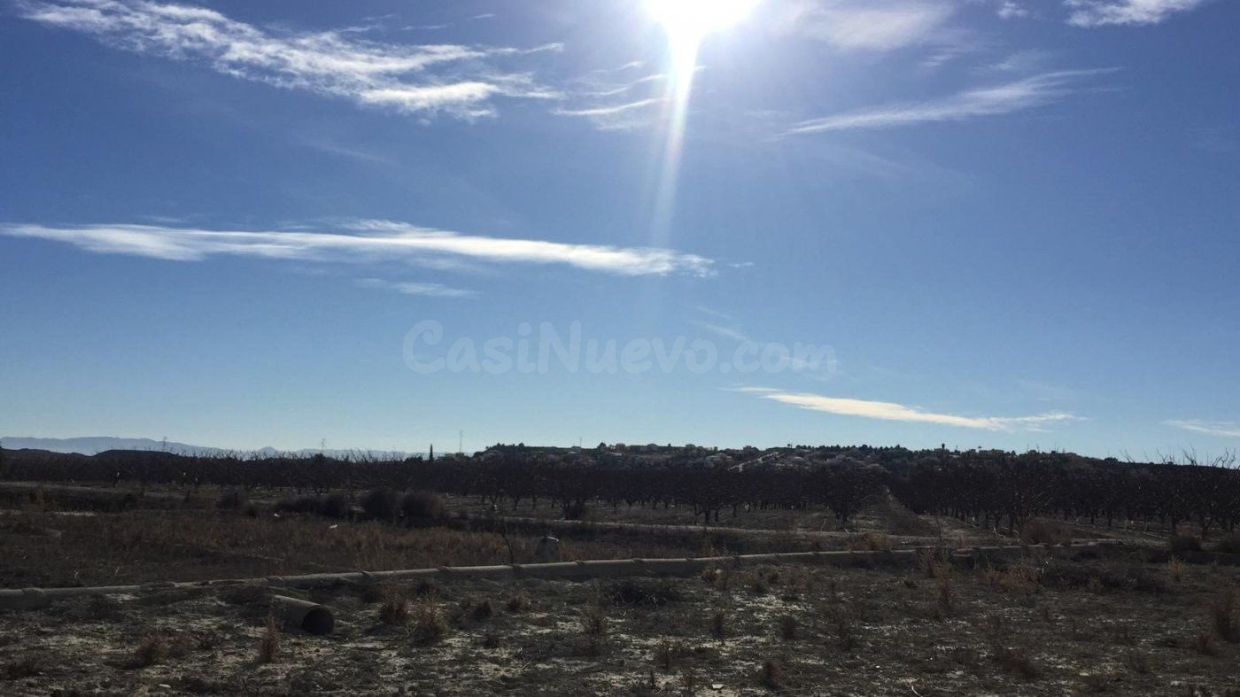 SE VENDE PARCELA EN VILLANUEVA DEL SEGURA, MURCIA - foto 4