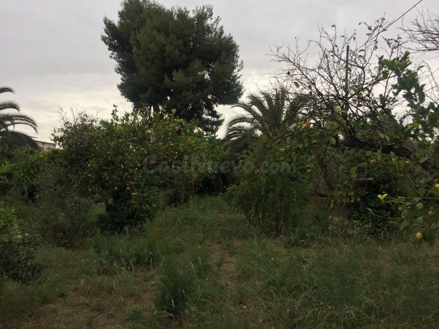SE VENDE PARCELA EN SENDA DE GRANADA, EDIFICABLE.
