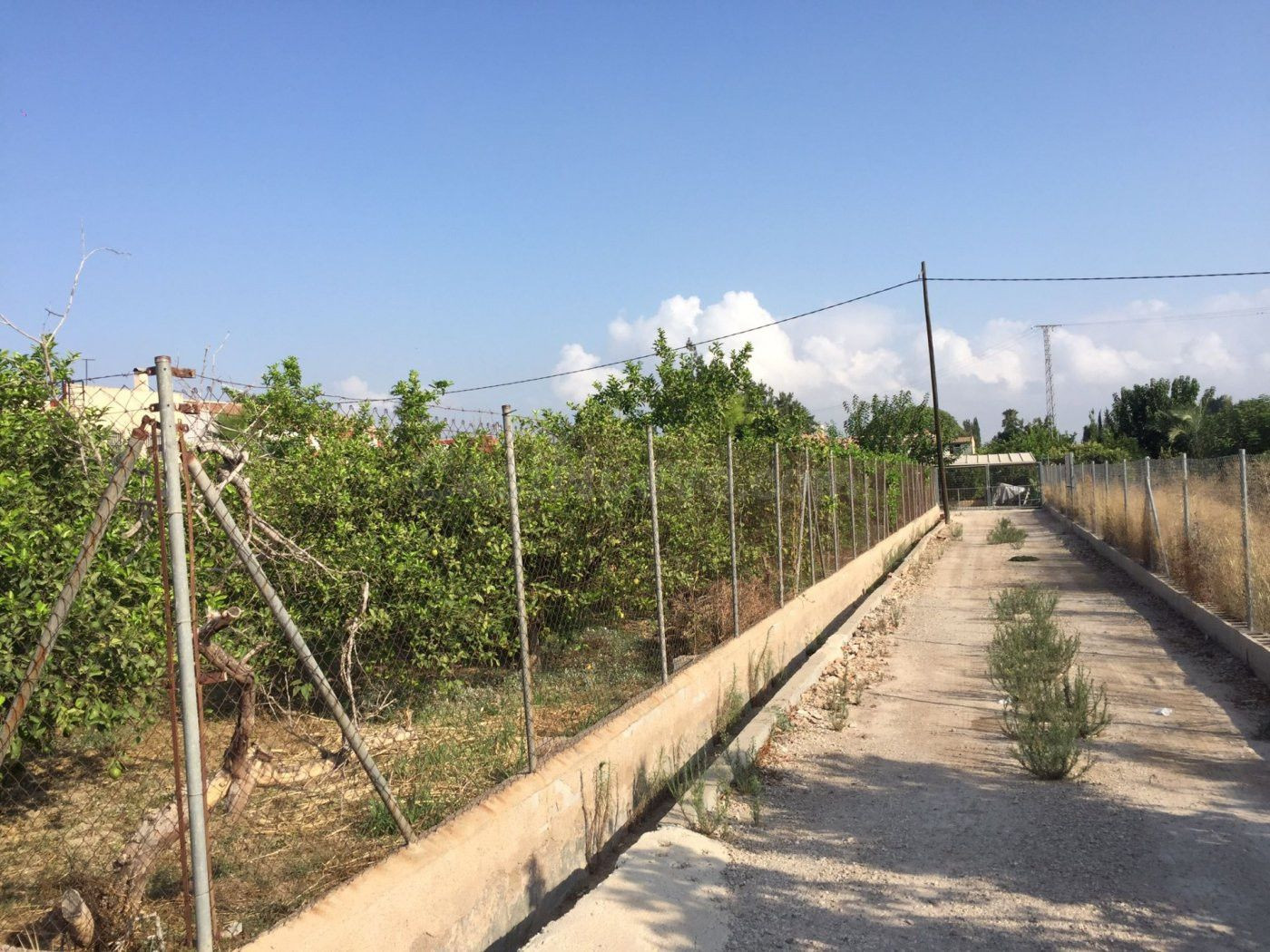 SE VENDE PARCELA DE 3000 m2 EDIFICABLE EN CAMINO SALOBOSQUE.
