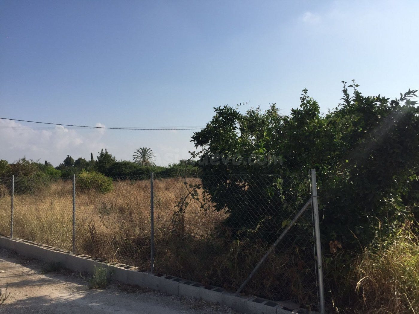 SE VENDE PARCELA DE 3000 m2 EDIFICABLE EN CAMINO SALOBOSQUE. - foto 2