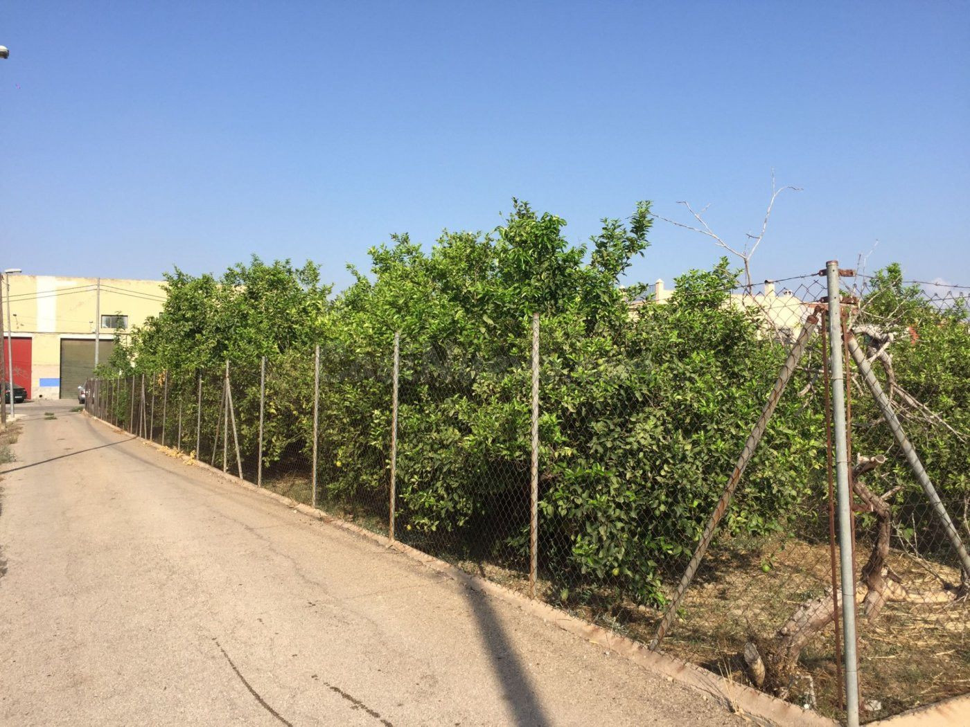 SE VENDE PARCELA DE 3000 m2 EDIFICABLE EN CAMINO SALOBOSQUE. - foto 3