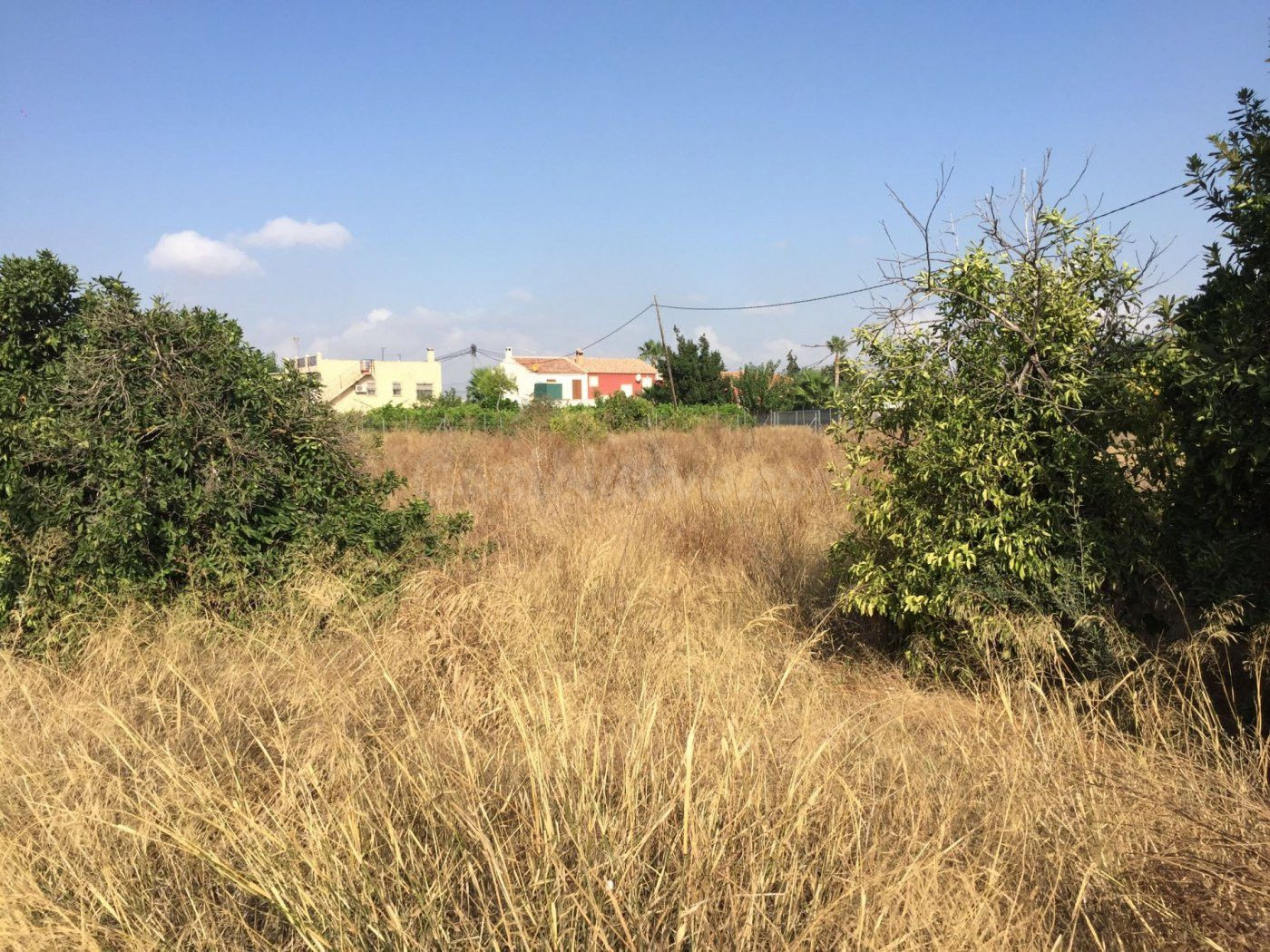 SE VENDE PARCELA DE 3000 m2 EDIFICABLE EN CAMINO SALOBOSQUE. - foto 4