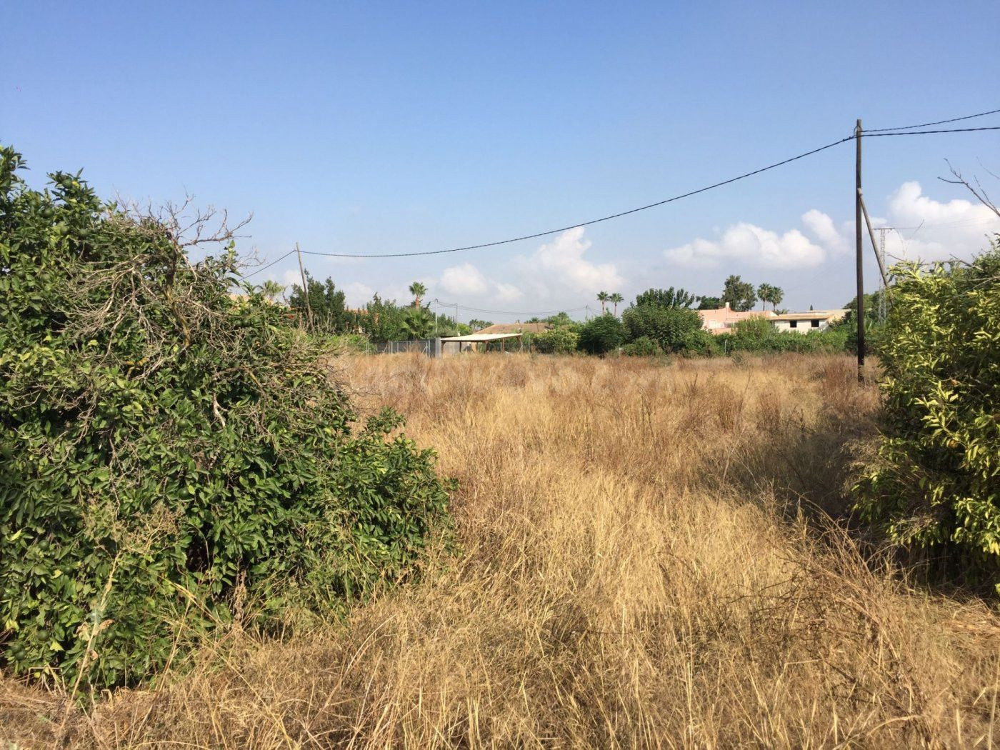 SE VENDE PARCELA DE 3000 m2 EDIFICABLE EN CAMINO SALOBOSQUE. - foto 5