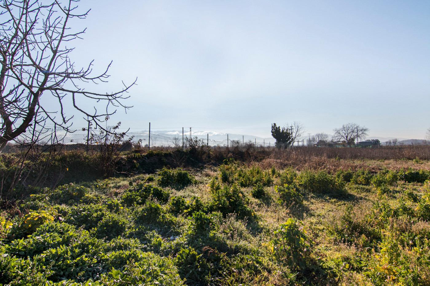 Terreno rural en venta - Arabial - foto 2