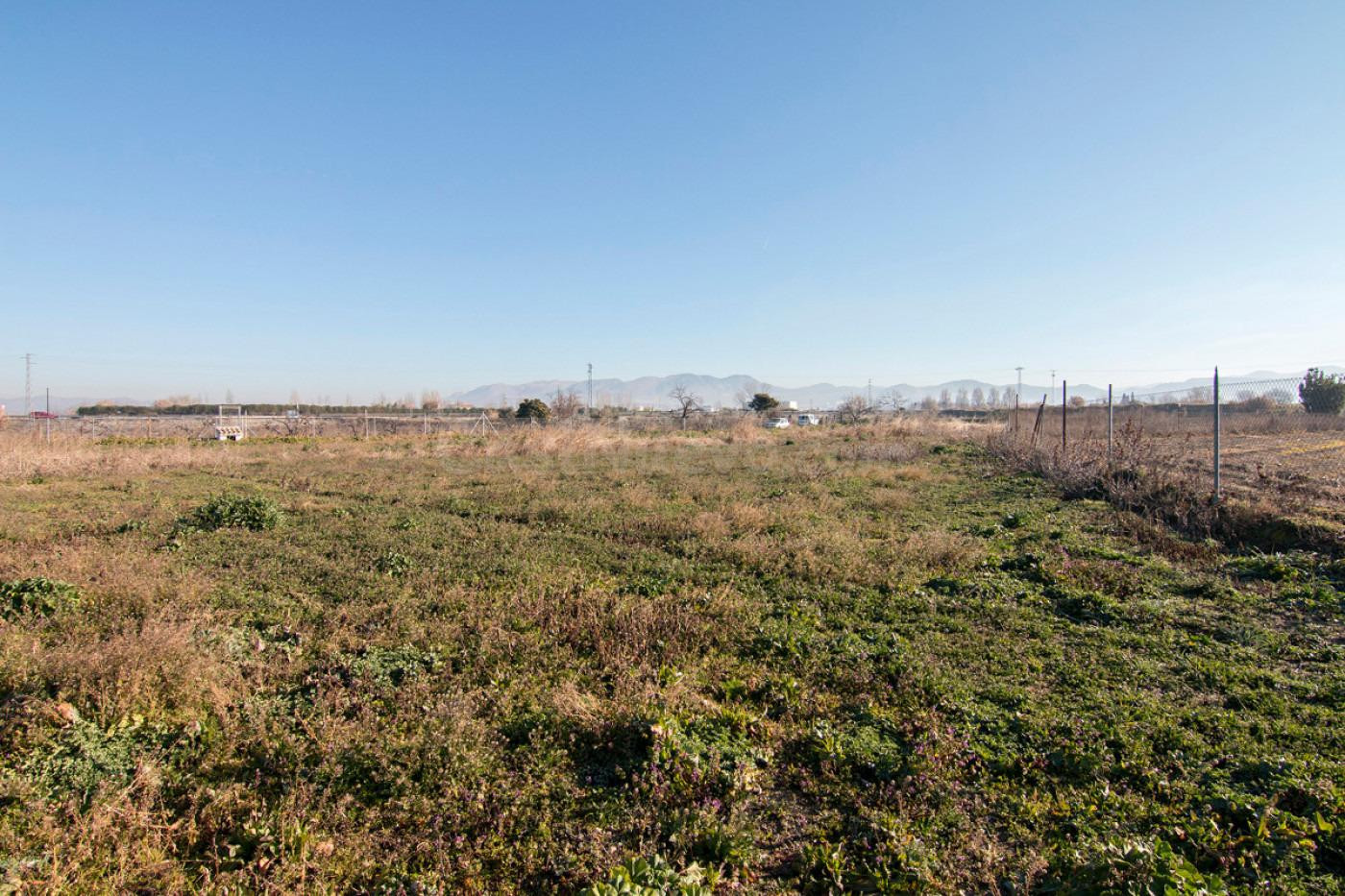 Terreno rural en venta - Arabial - foto 3