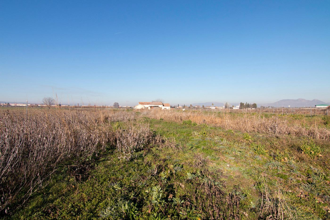Terreno rural en venta - Arabial - foto 4