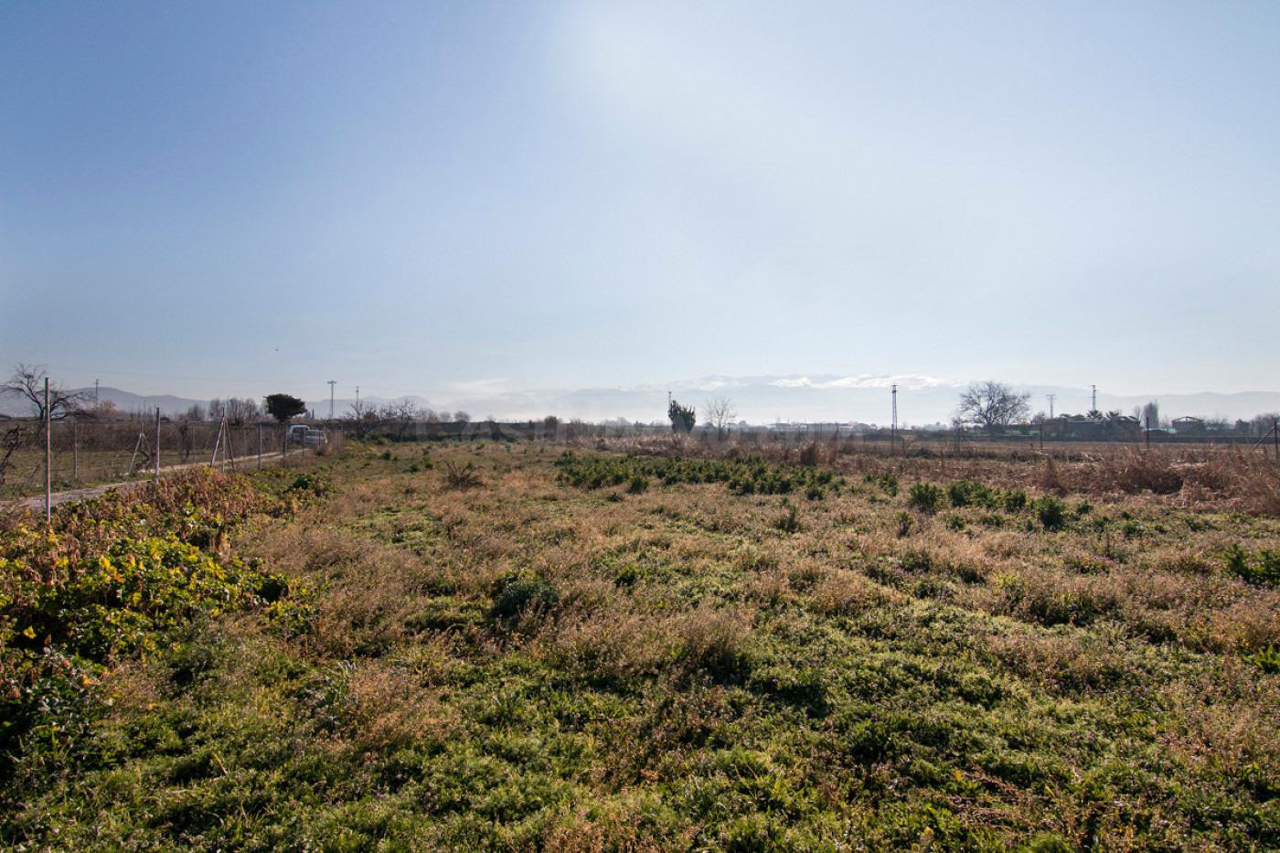 Terreno rural en venta - Arabial - foto 5
