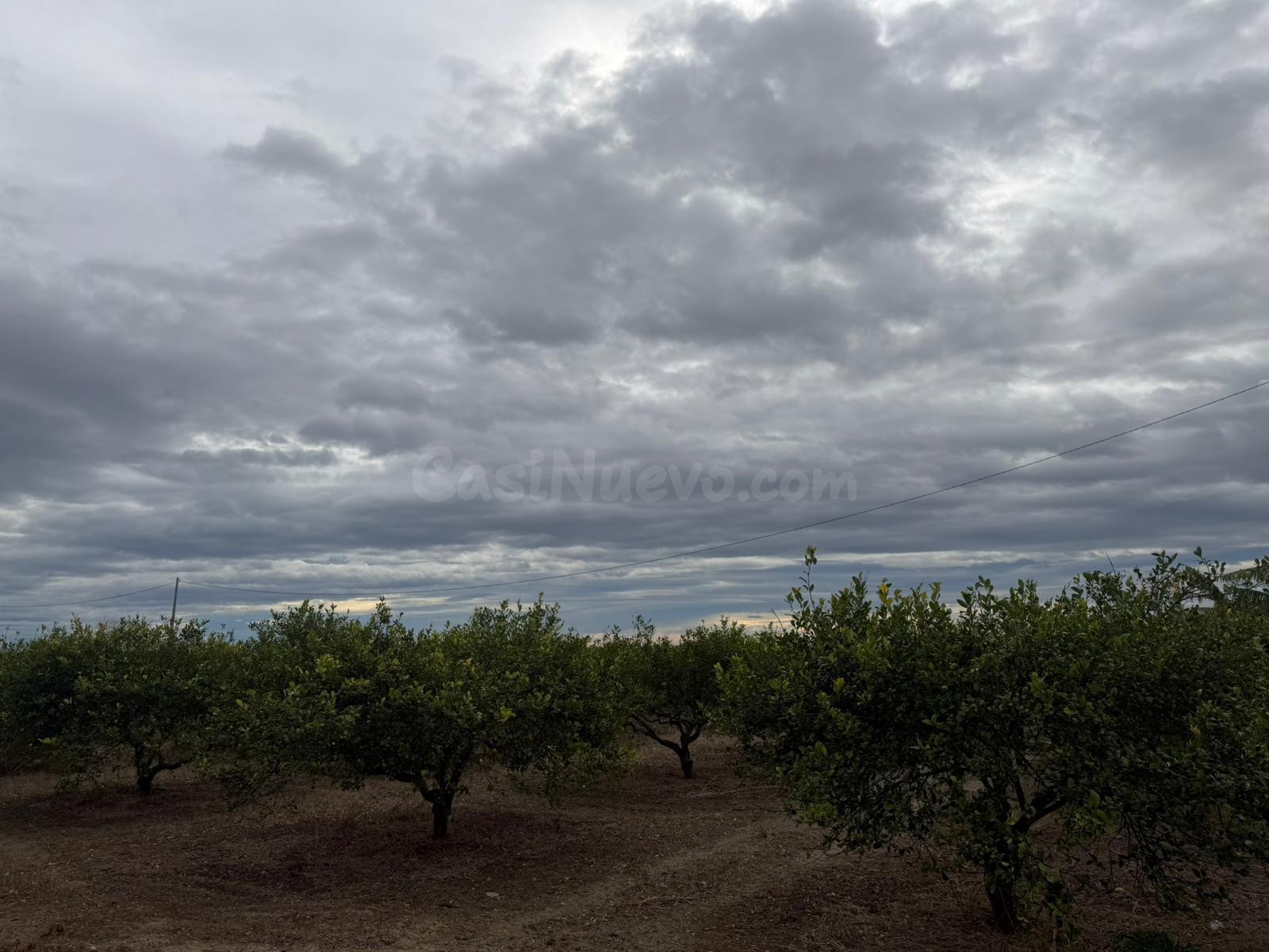 Terreno Rural en Venta en Daya Nueva ✨ - foto 4