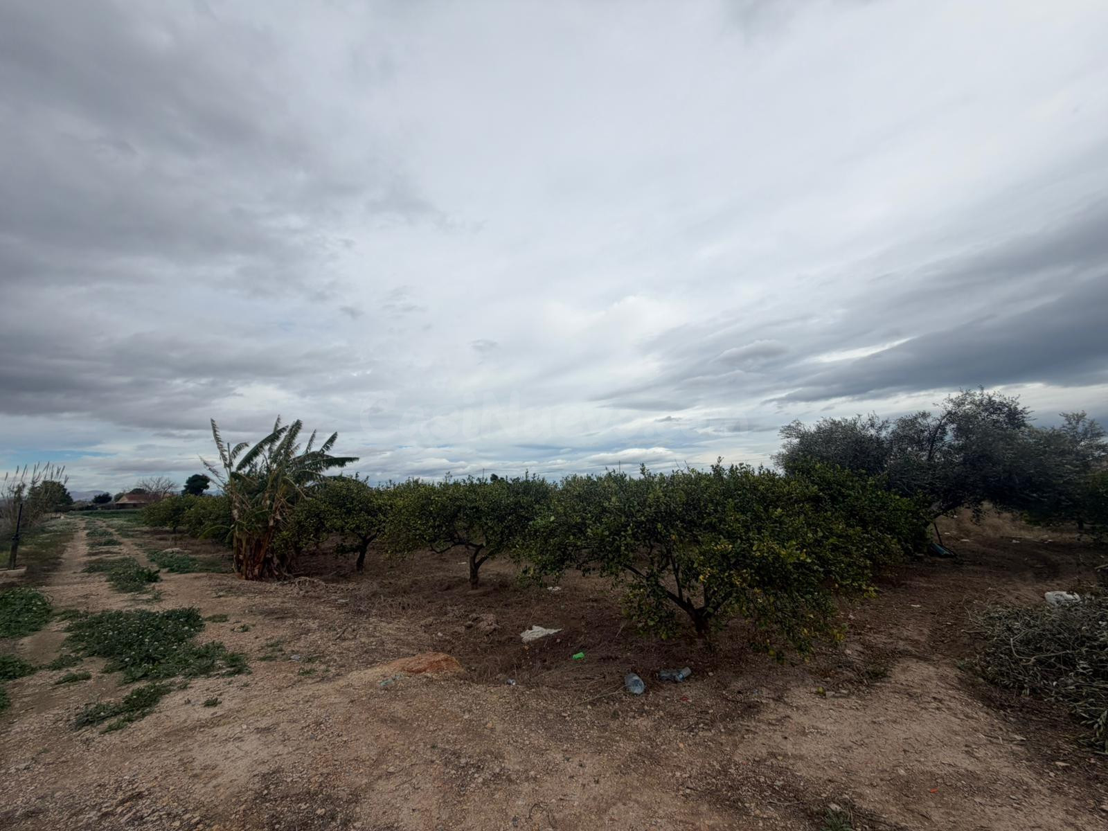 Terreno Rural en Venta en Daya Nueva ✨ - foto 5