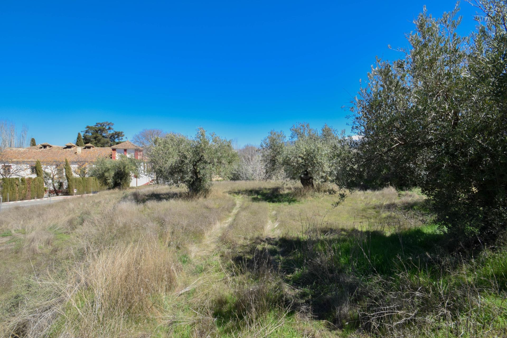 Exclusivos solares en la Villa de Otura - foto 5