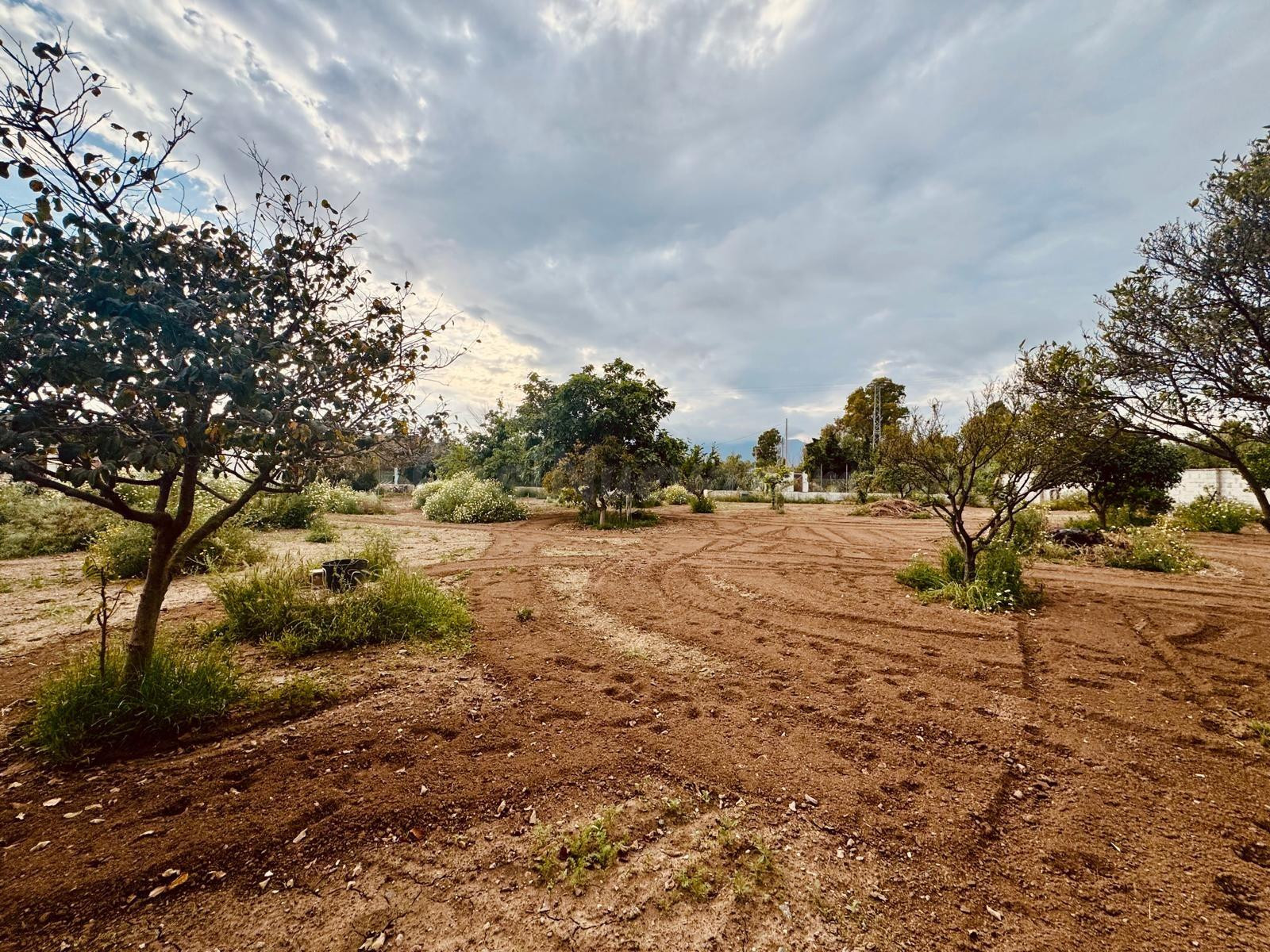 FINCA RÚSTICA DE 3.700 m2 CON VIVIENDA LEGALIZADA Y NAVE DE  - foto 4