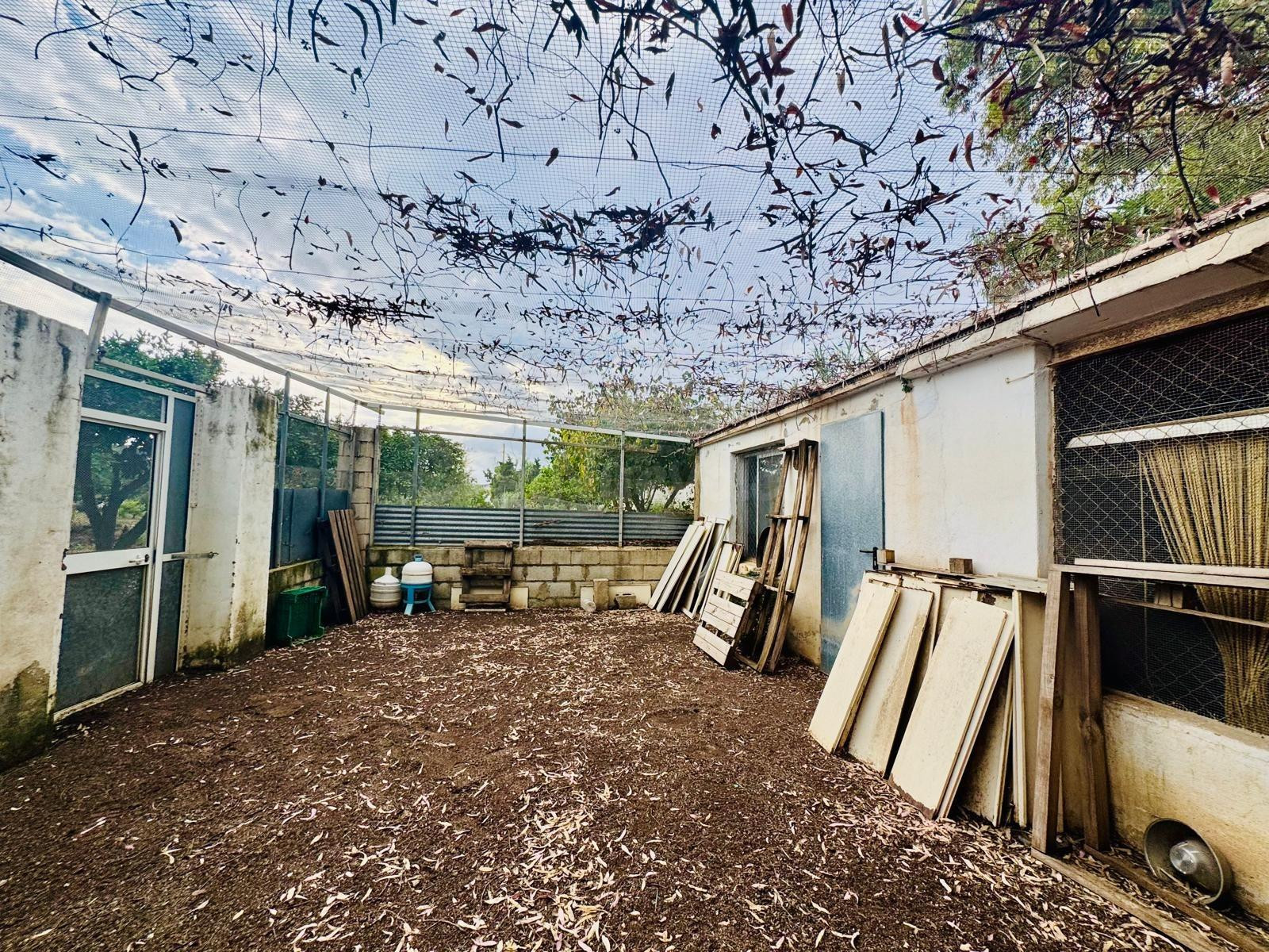 FINCA RÚSTICA DE 3.700 m2 CON VIVIENDA LEGALIZADA Y NAVE DE  - foto 5