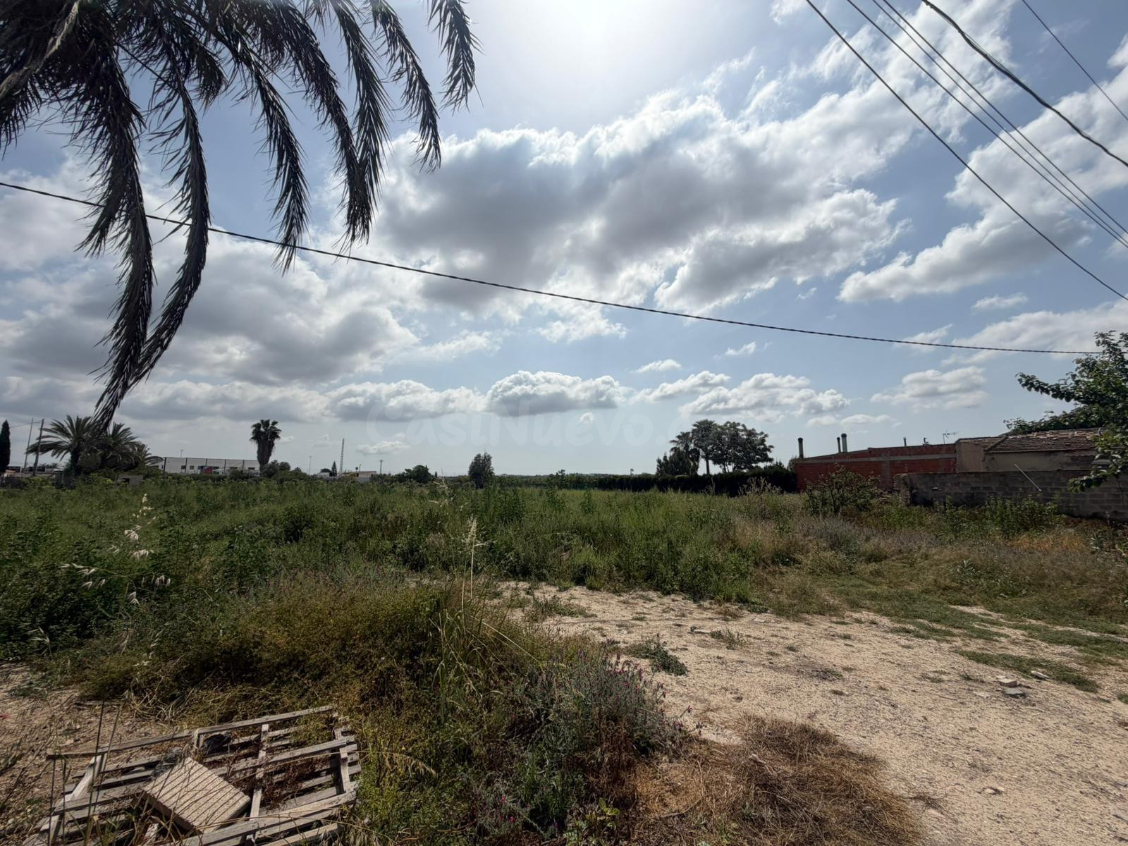 Oportunidad en Benejúzar - foto 4