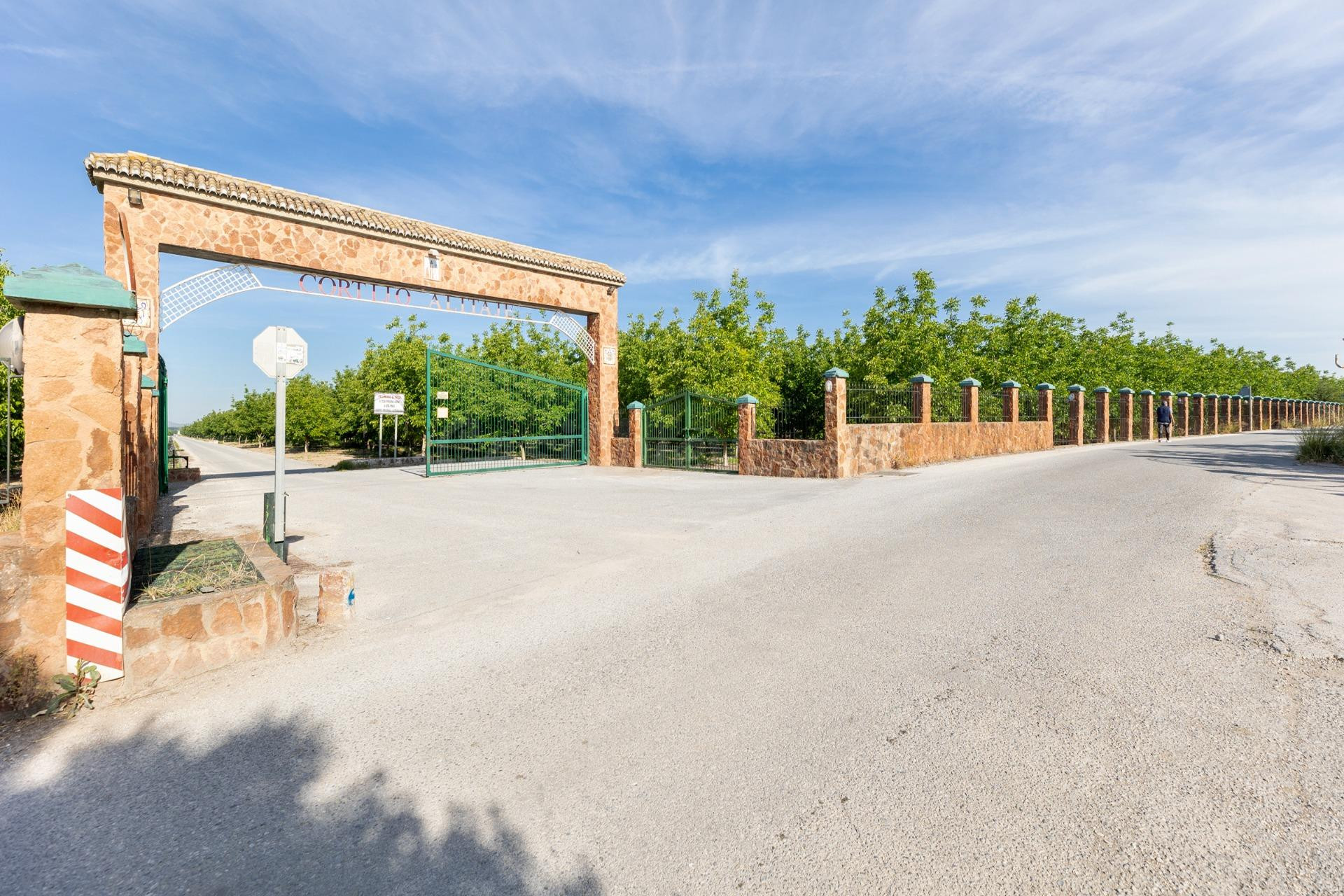 Finca Rústica en Venta – Vega Norte de Granada - foto 2