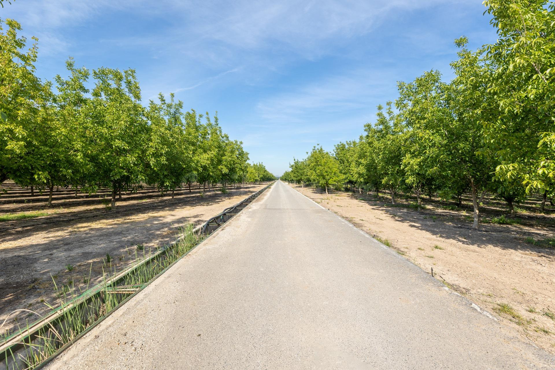 Finca Rústica en Venta – Vega Norte de Granada - foto 3