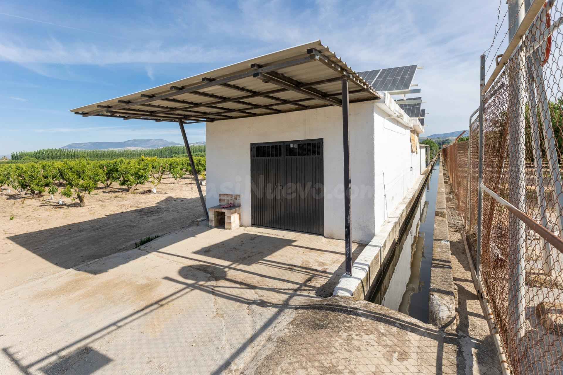 Finca Rústica en Venta – Vega Norte de Granada - foto 4