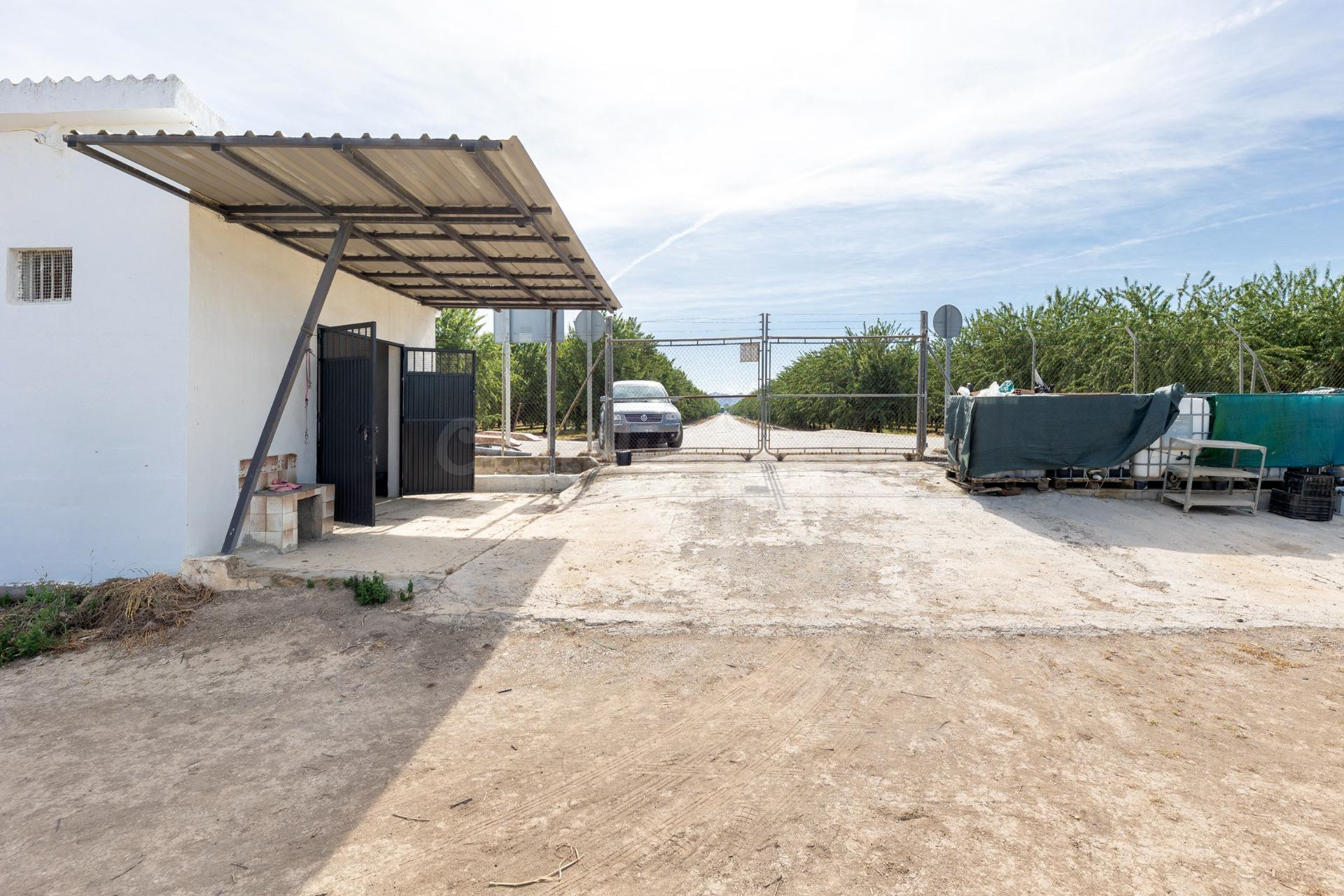 Finca Rústica en Venta – Vega Norte de Granada - foto 5