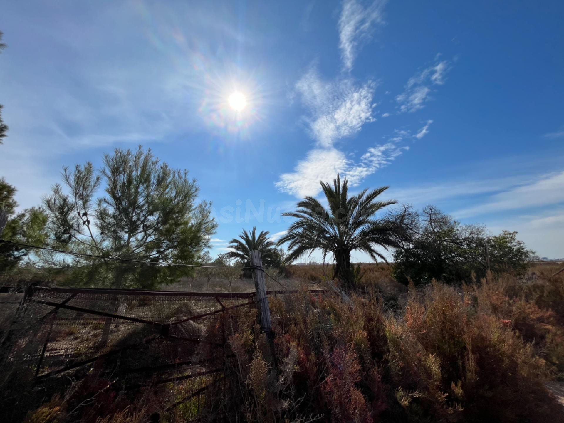 Terreno con Casita en Valverde Bajo Santa Pola