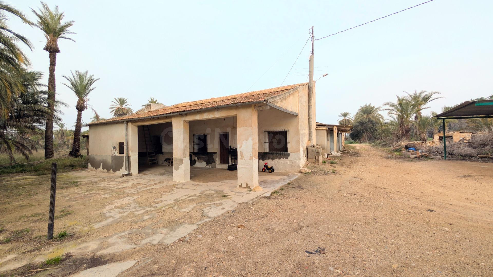 Oportunidad Única en el Campo de Elche – Zona Sur.