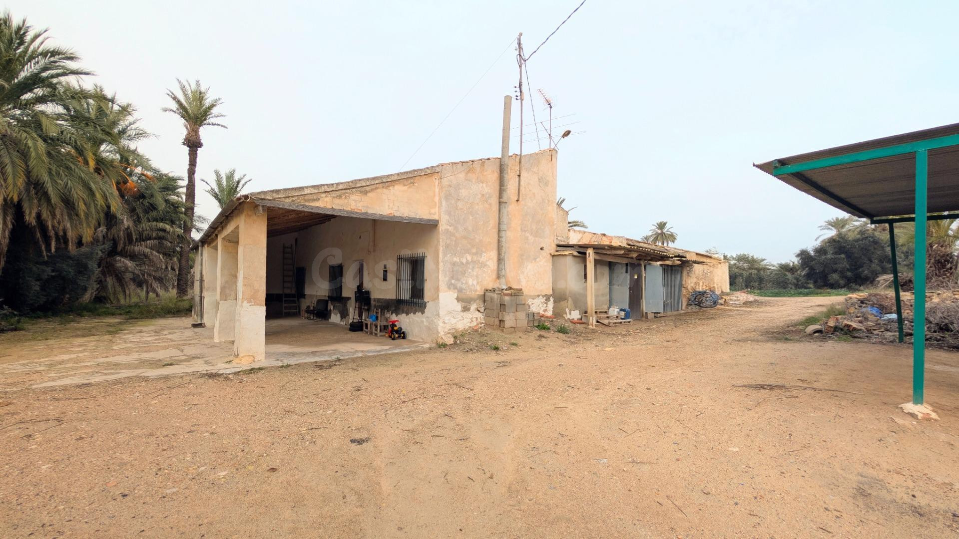 Oportunidad Única en el Campo de Elche – Zona Sur. - foto 2