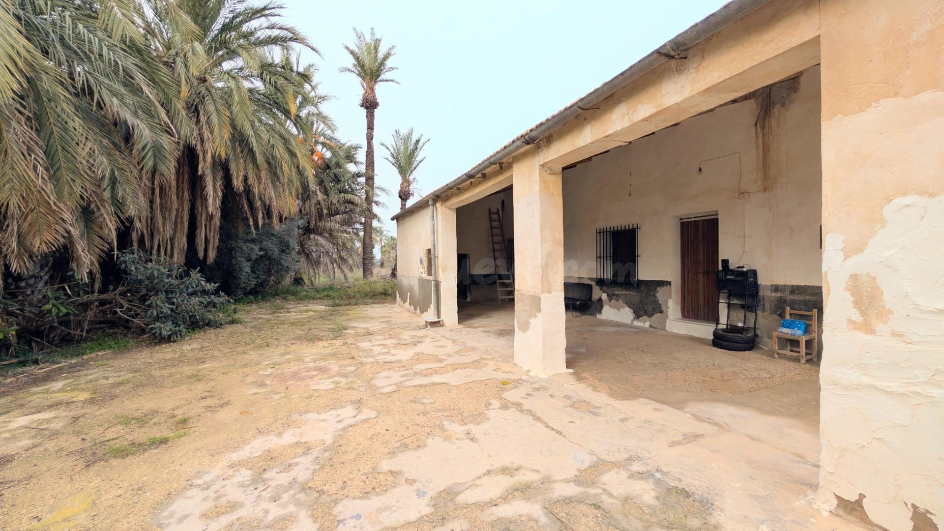 Oportunidad Única en el Campo de Elche – Zona Sur. - foto 3